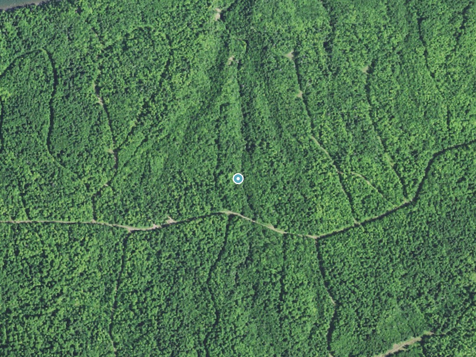 Aerial photo of the same ground around Maple Creek Falls near Bessemer, Michigan, for comparison with the lidar view