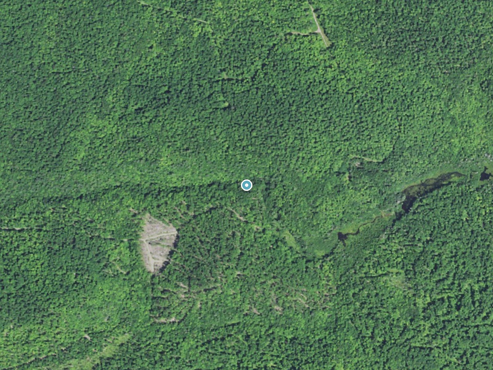 Aerial photo of the same ground around Plumbago Falls near L'Anse, Michigan, for comparison with the lidar view