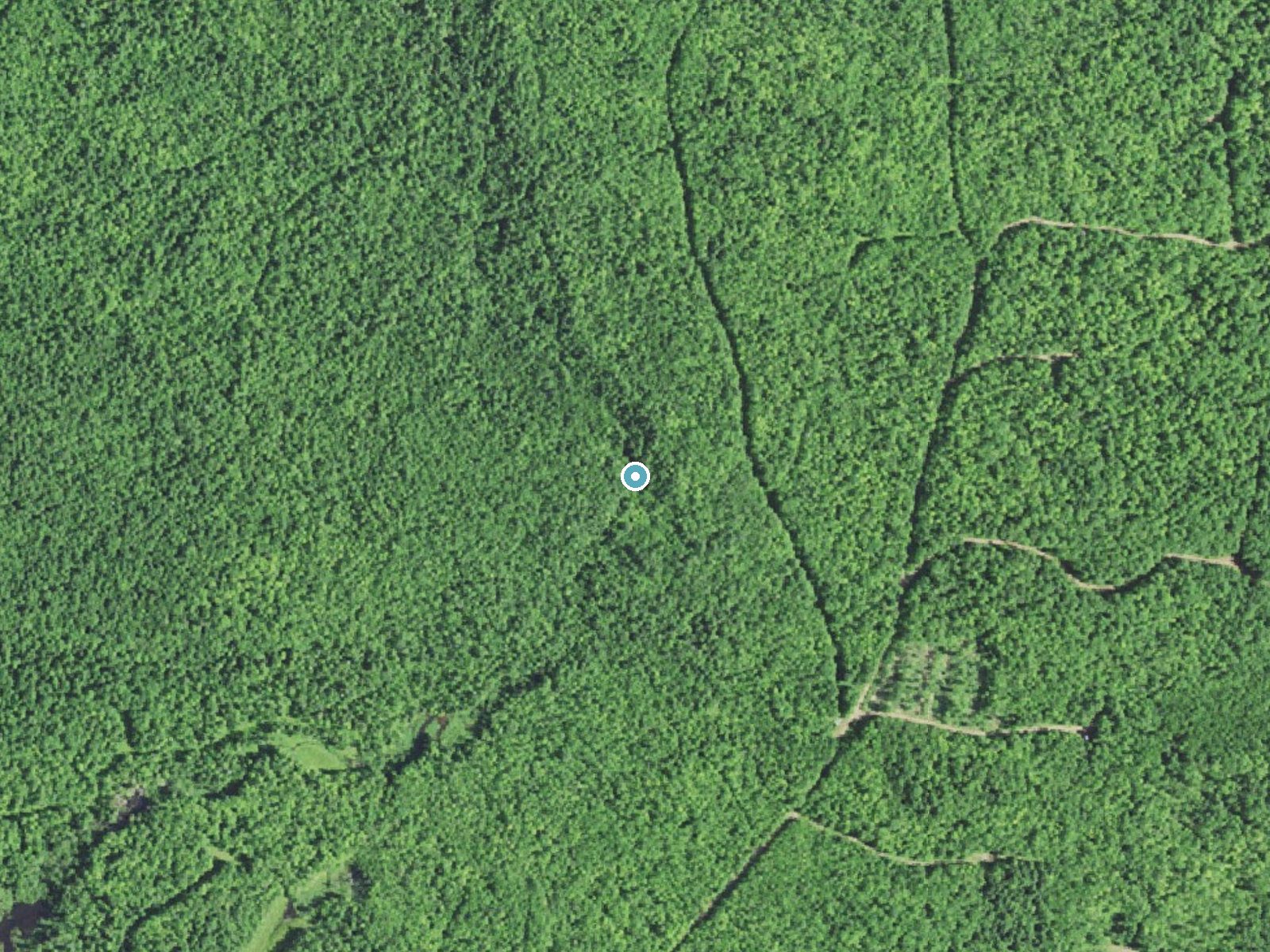 Aerial photo of the same ground around Deer Creek Falls near Lake Gogebic, Michigan, for comparison with the lidar view