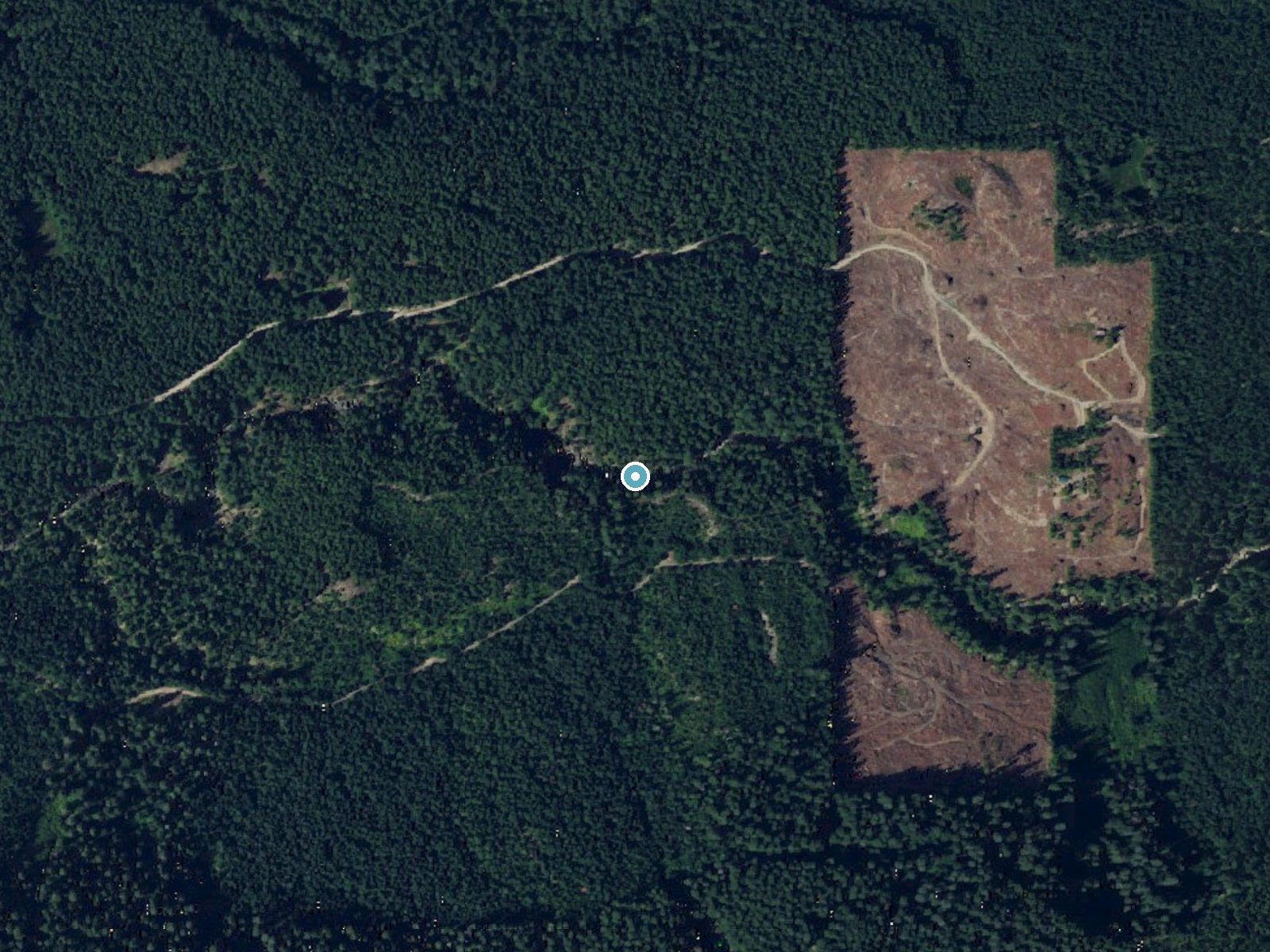 Aerial photo of the same ground around Fish Ladder Falls near Packwood, Washington, for comparison with the lidar view