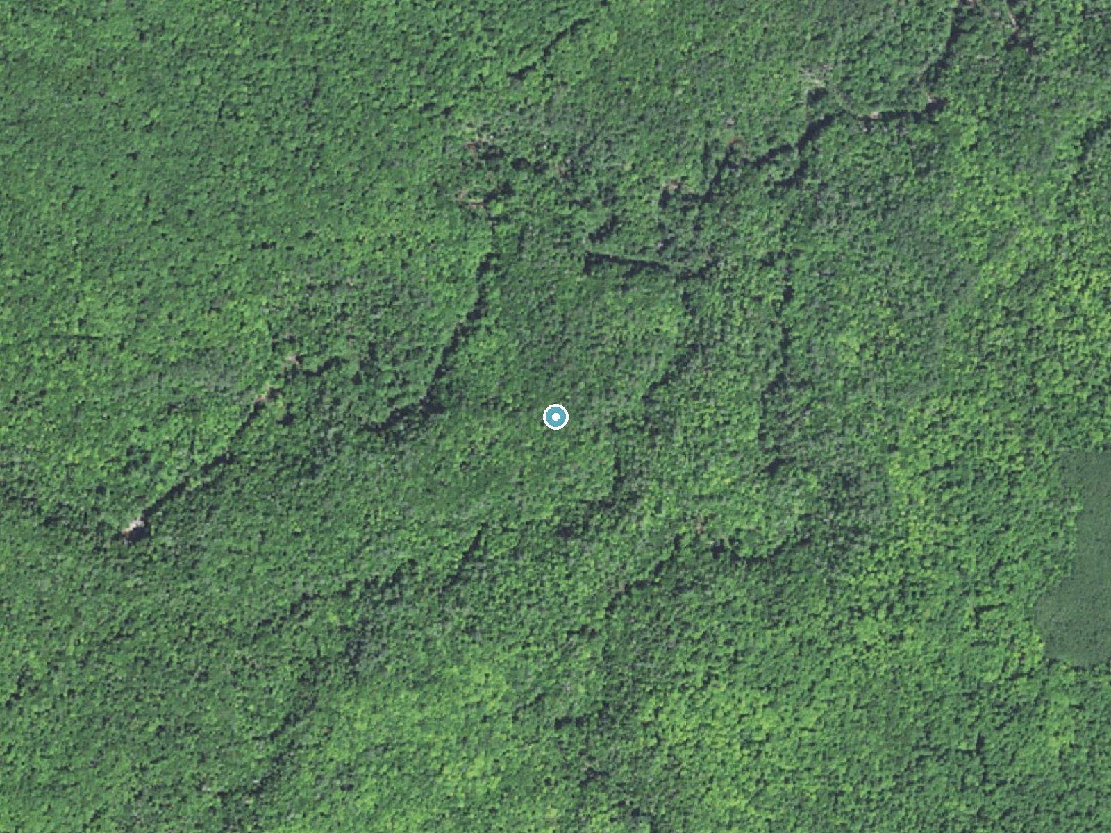 Aerial photo of the same ground around West Branch Sturgeon Falls near Pelkie, Michigan, for comparison with the lidar view