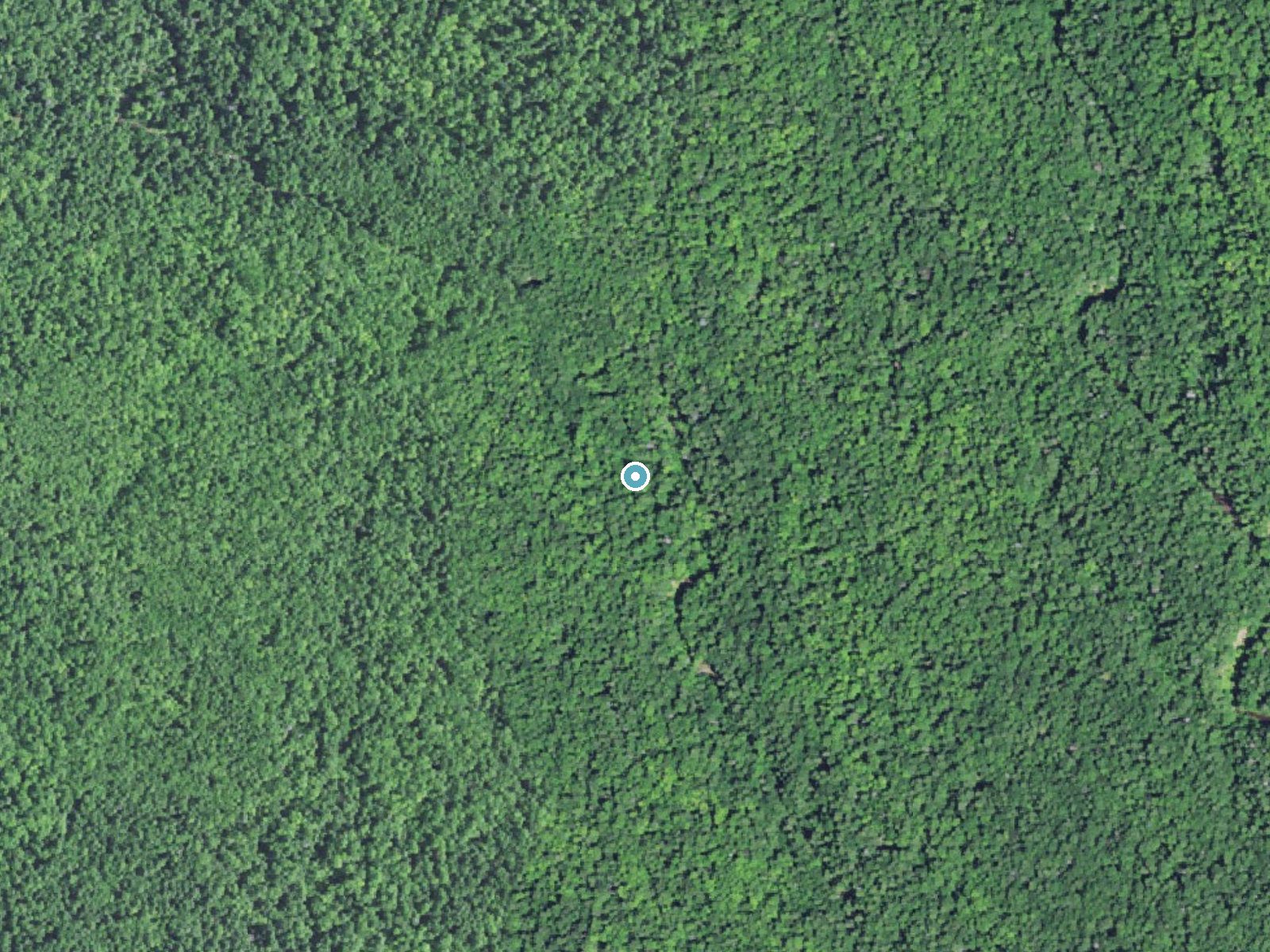 Aerial photo of the same ground around Pinkerton Falls near White Pine, Michigan, for comparison with the lidar view
