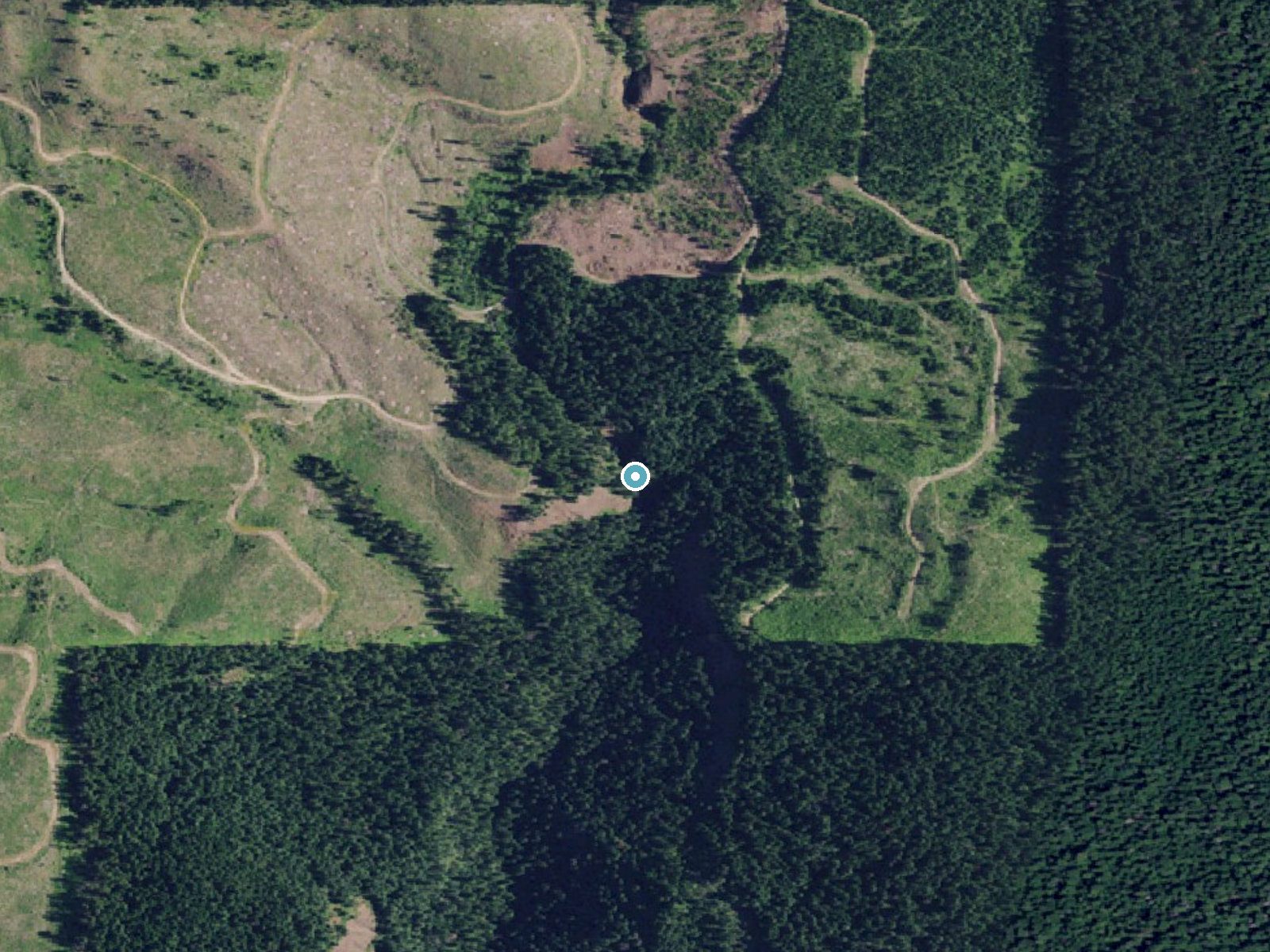 Aerial photo of the same ground around Bull Run Creek Falls near Elk River, Idaho, for comparison with the lidar view