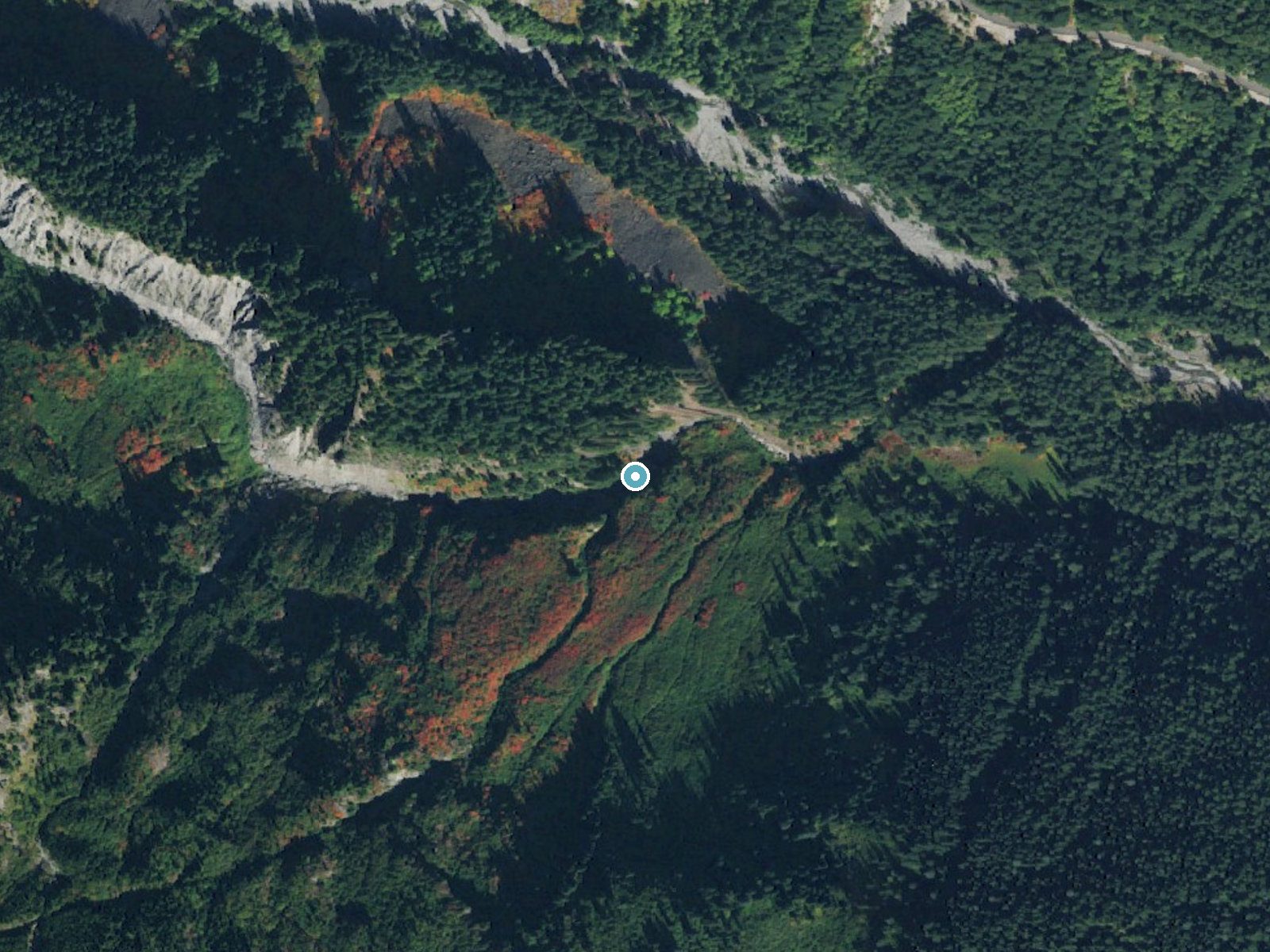 Aerial photo of the same ground around Maple Falls near Packwood, Washington, for comparison with the lidar view