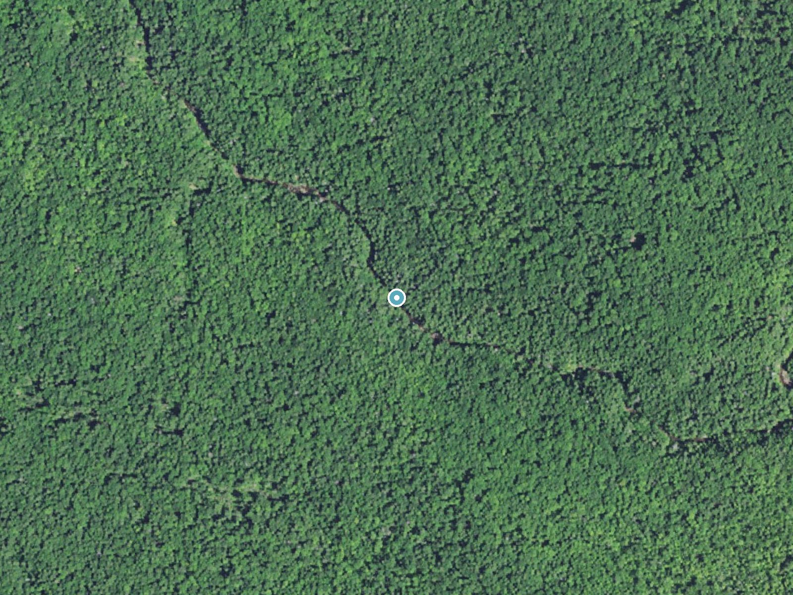Aerial photo of the same ground around Big Carp Falls near White Pine, Michigan, for comparison with the lidar view