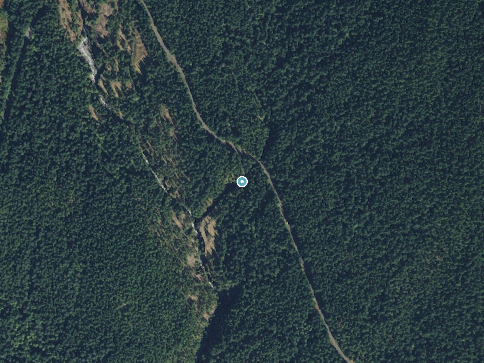 Aerial photo of the same ground around Cougar Falls near Packwood, Washington, for comparison with the lidar view