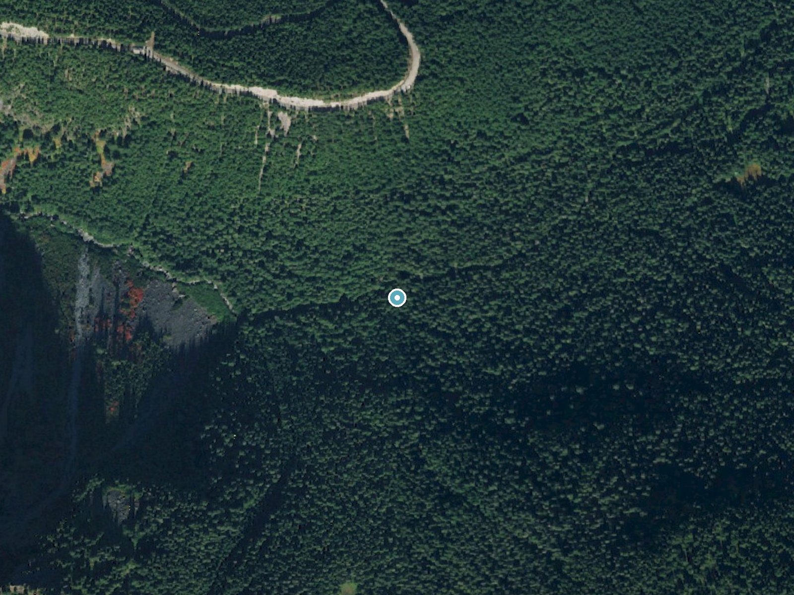Aerial photo of the same ground around Carter Falls near Ashford, Washington, for comparison with the lidar view