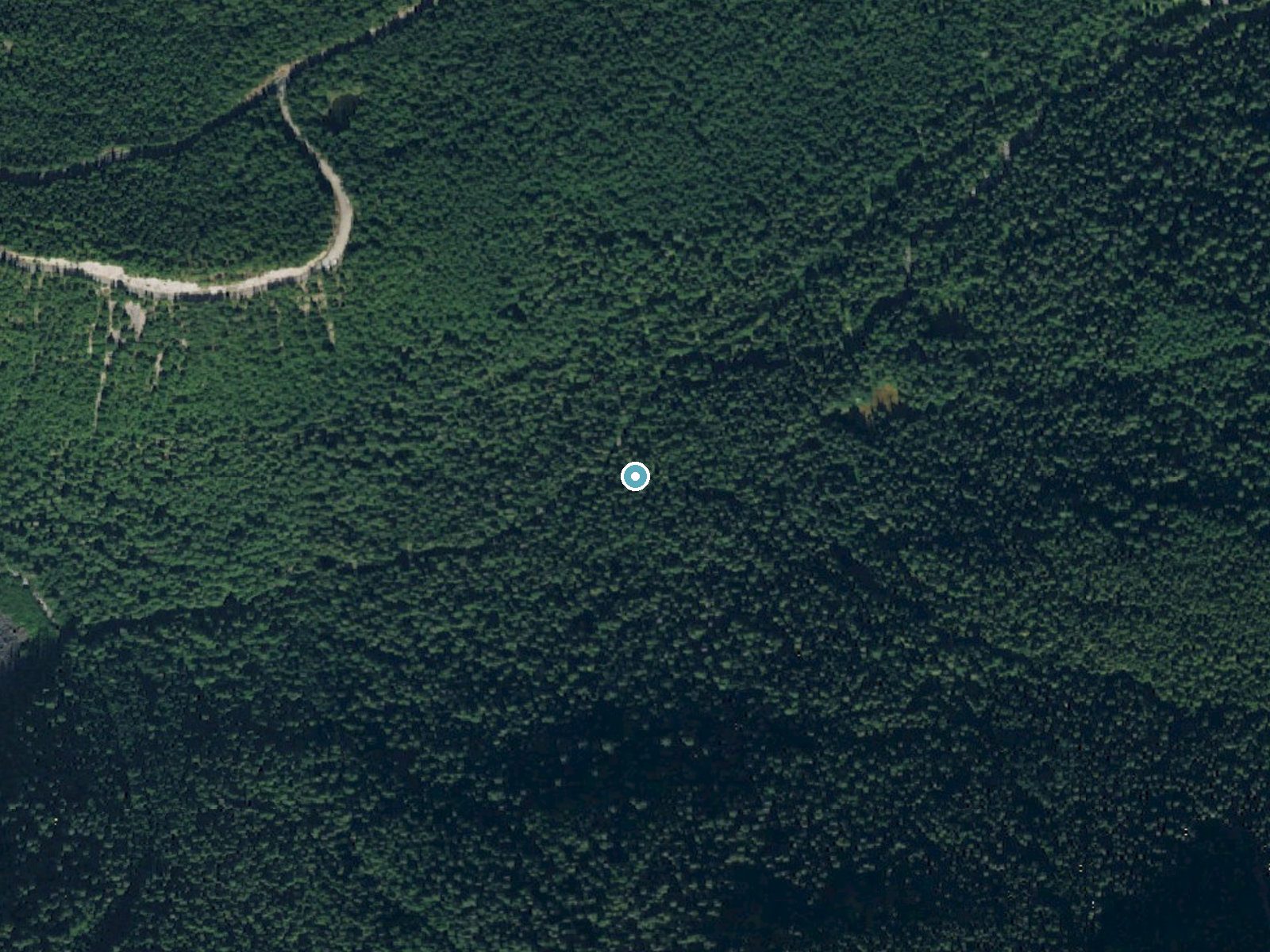Aerial photo of the same ground around Madcap Falls near Ashford, Washington, for comparison with the lidar view