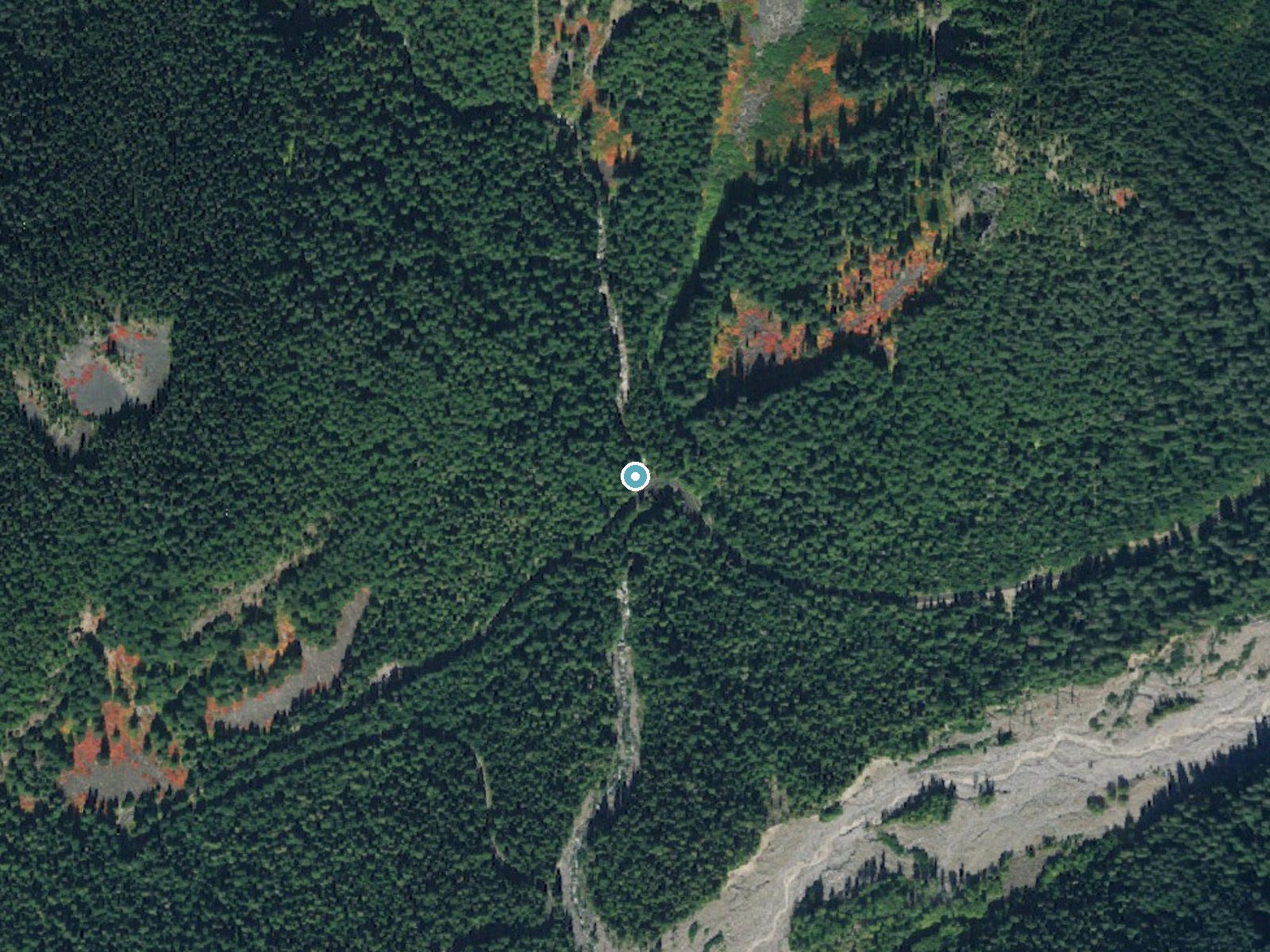 Aerial photo of the same ground around Christine Falls near Ashford, Washington, for comparison with the lidar view