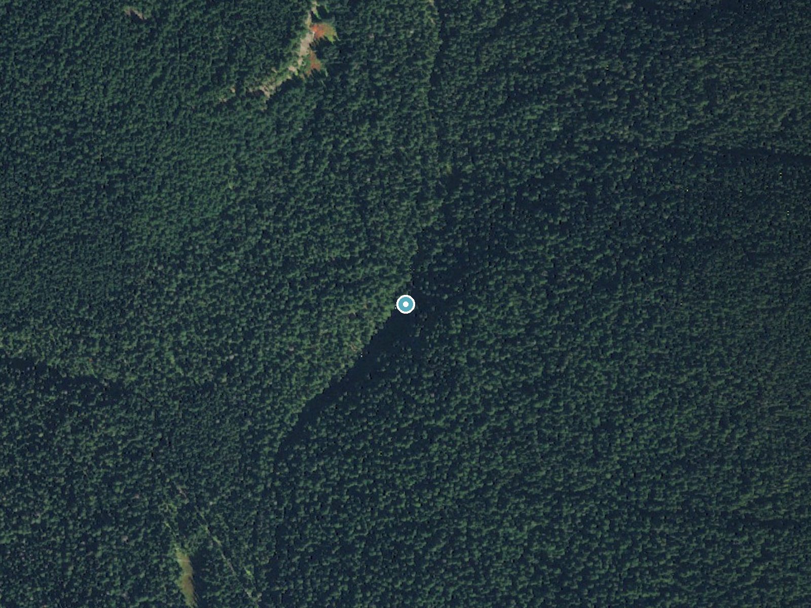 Aerial photo of the same ground around Saint Johns Falls near Packwood, Washington, for comparison with the lidar view