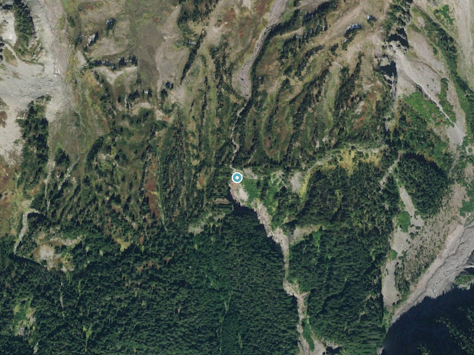 Aerial photo of the same ground around Pearl Falls near Ashford, Washington, for comparison with the lidar view