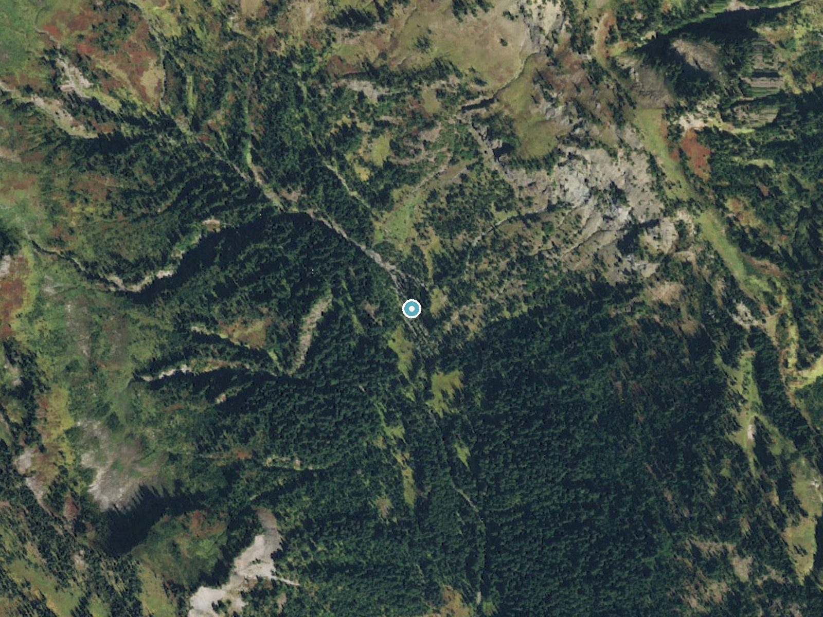 Aerial photo of the same ground around Marie Falls near Packwood, Washington, for comparison with the lidar view