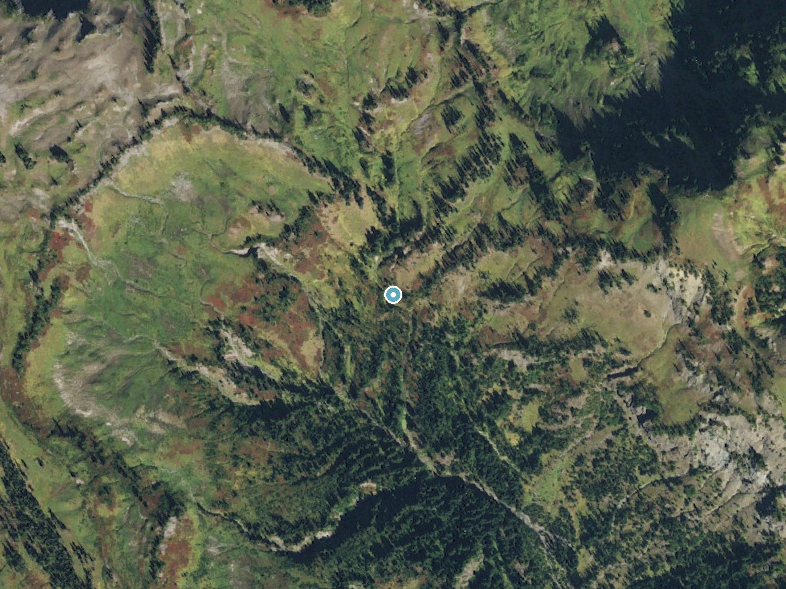 Aerial photo of the same ground around Mary Belle Falls near Packwood, Washington, for comparison with the lidar view
