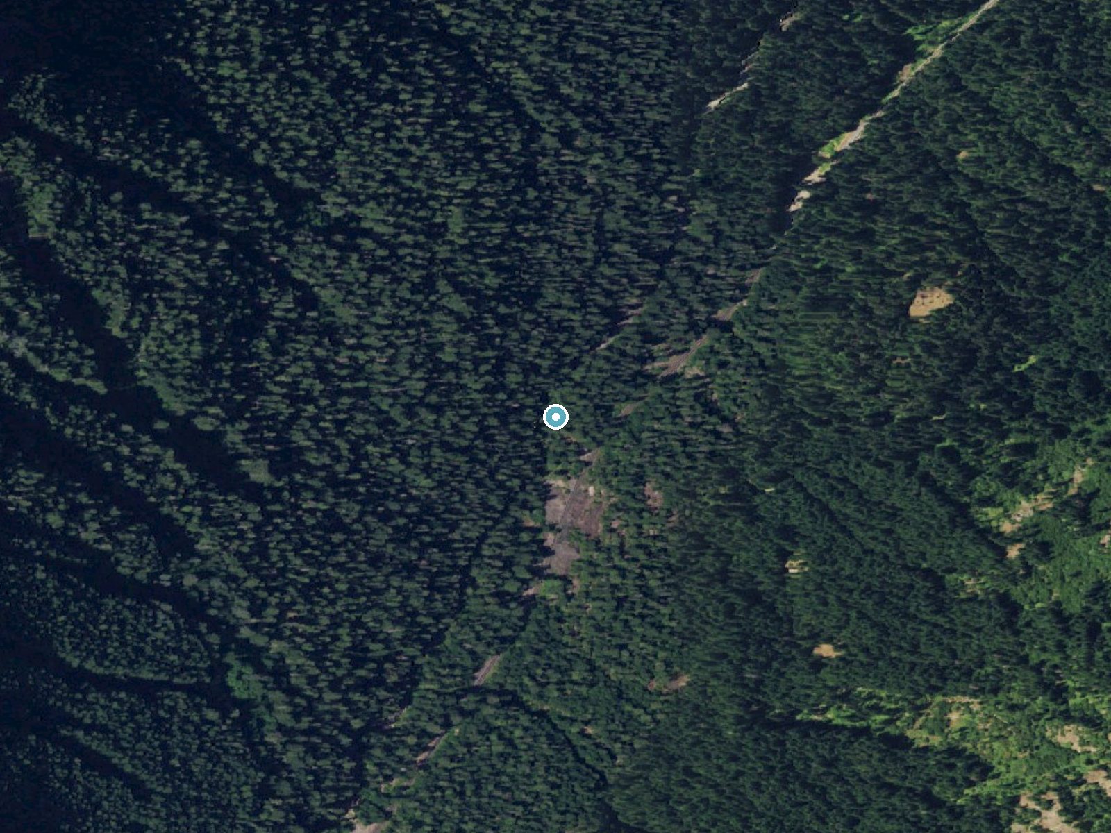 Aerial photo of the same ground around Stafford Falls near Packwood, Washington, for comparison with the lidar view