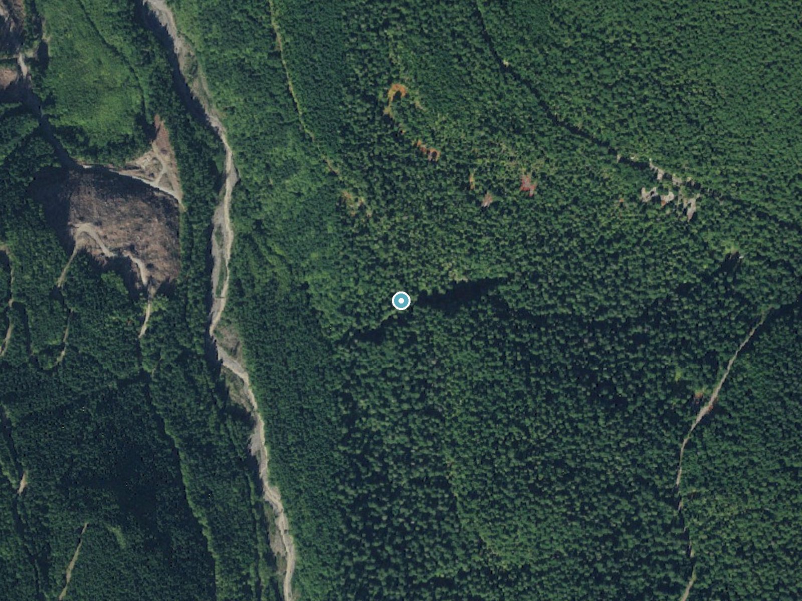 Aerial photo of the same ground around Ethania Falls near Ashford, Washington, for comparison with the lidar view
