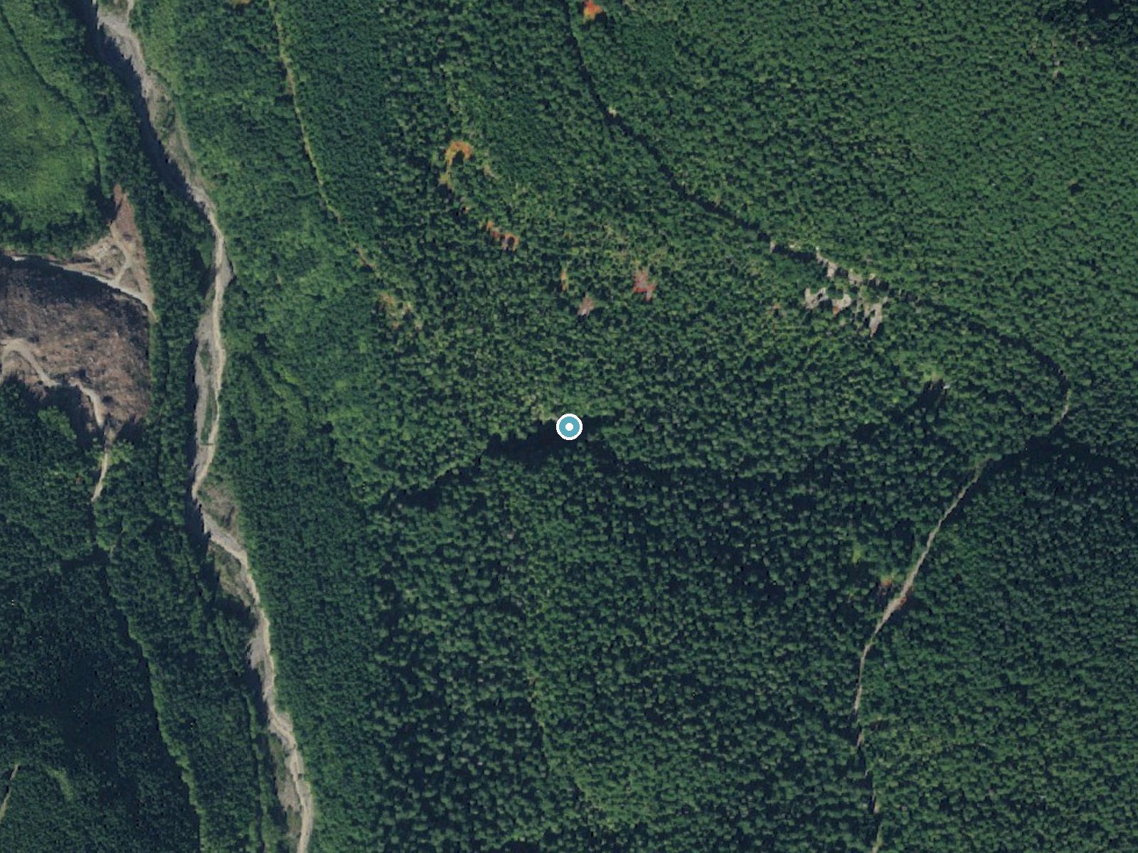 Aerial photo of the same ground around Larrupin Falls near Ashford, Washington, for comparison with the lidar view