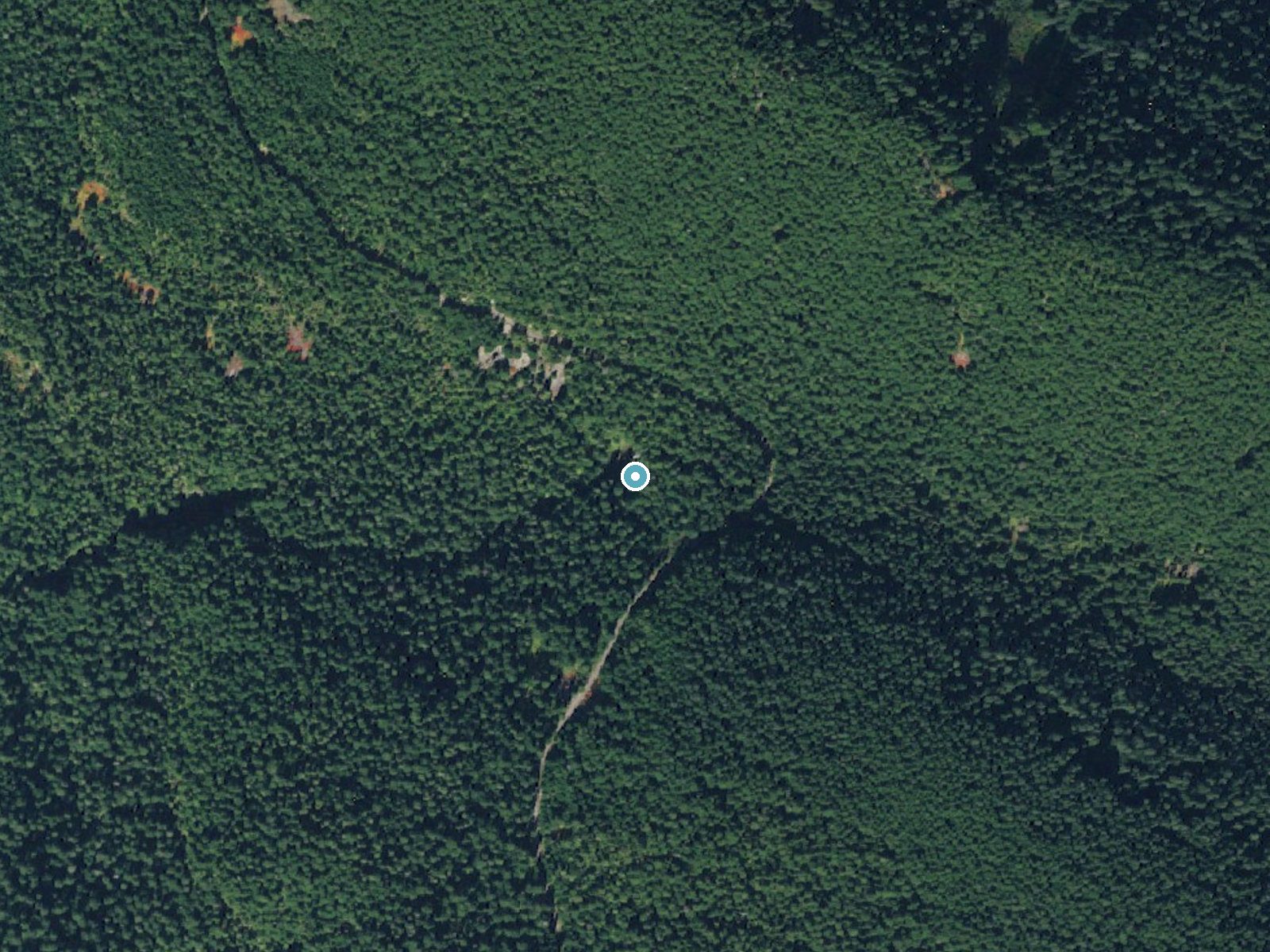 Aerial photo of the same ground around Denman Falls near Ashford, Washington, for comparison with the lidar view