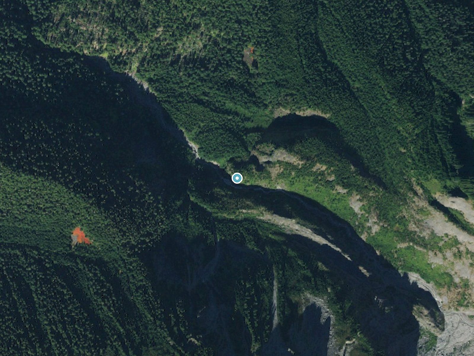 Aerial photo of the same ground around Giant Falls near Ashford, Washington, for comparison with the lidar view