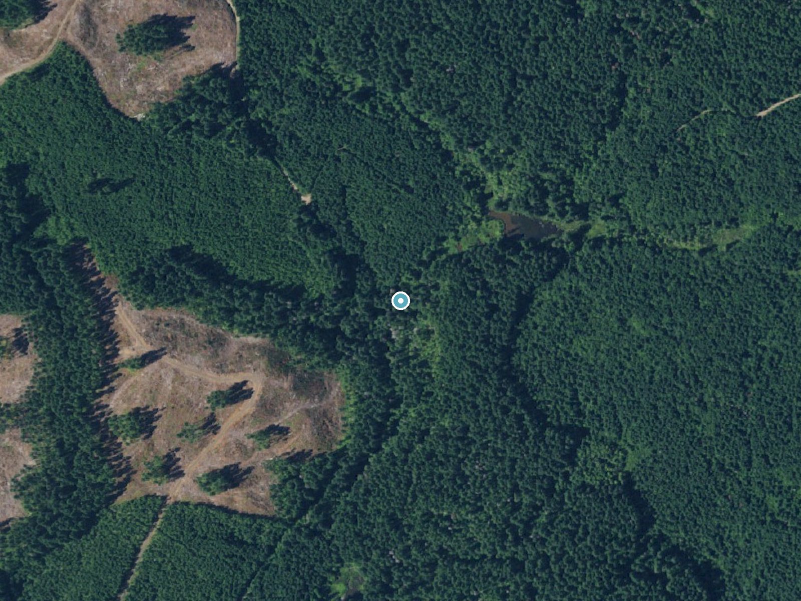 Aerial photo of the same ground around Mima Falls near Rochester, Washington, for comparison with the lidar view