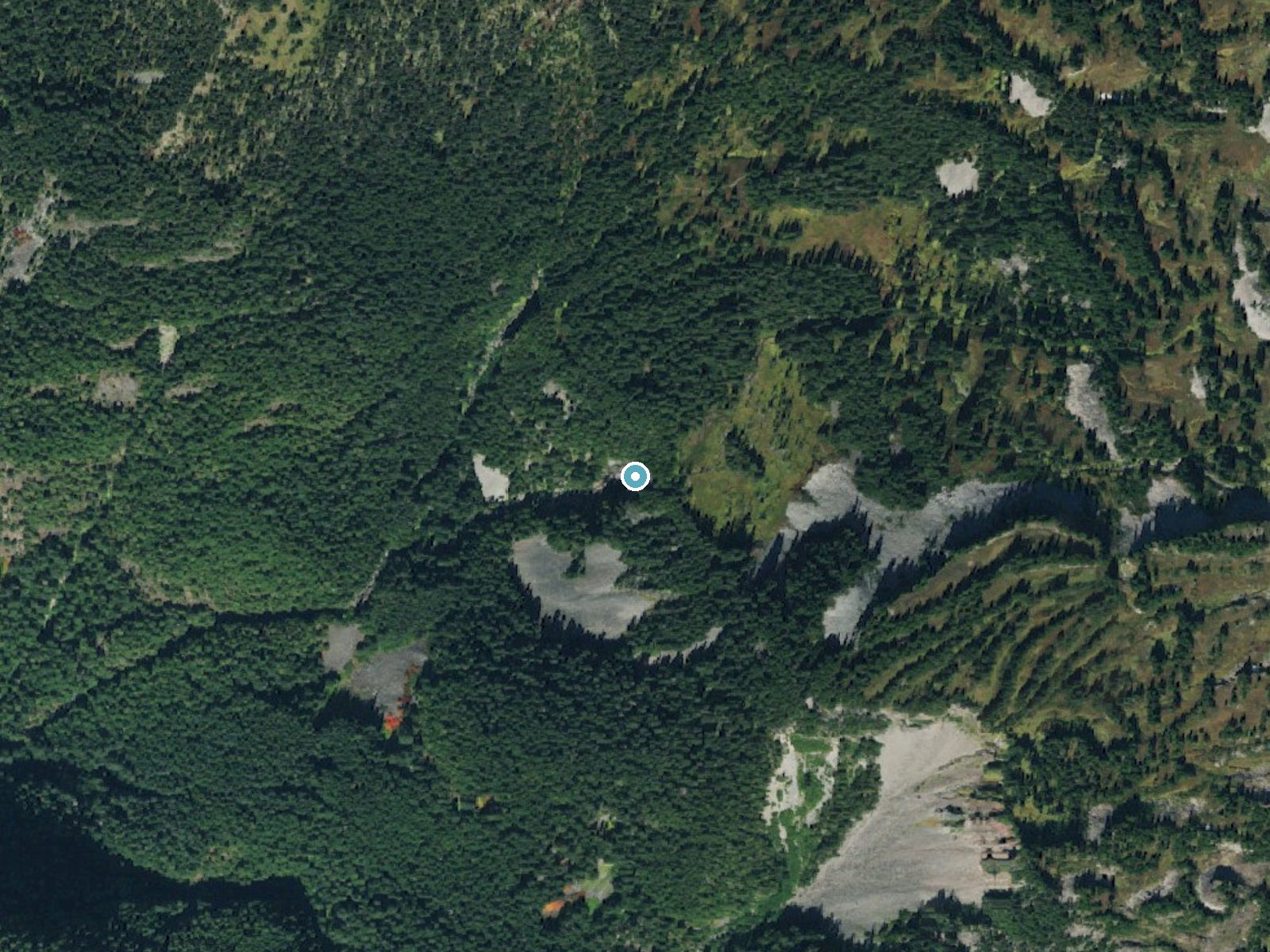 Aerial photo of the same ground around Spray Falls near Ashford, Washington, for comparison with the lidar view