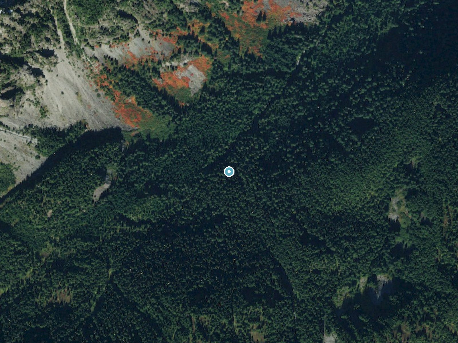 Aerial photo of the same ground around Cataract Falls near Carbonado, Washington, for comparison with the lidar view