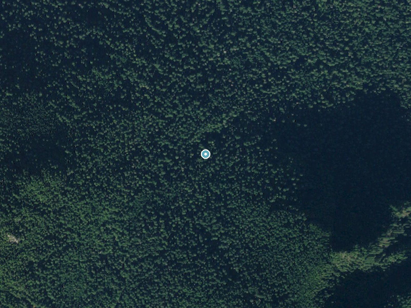 Aerial photo of the same ground around Ranger Falls near Carbonado, Washington, for comparison with the lidar view