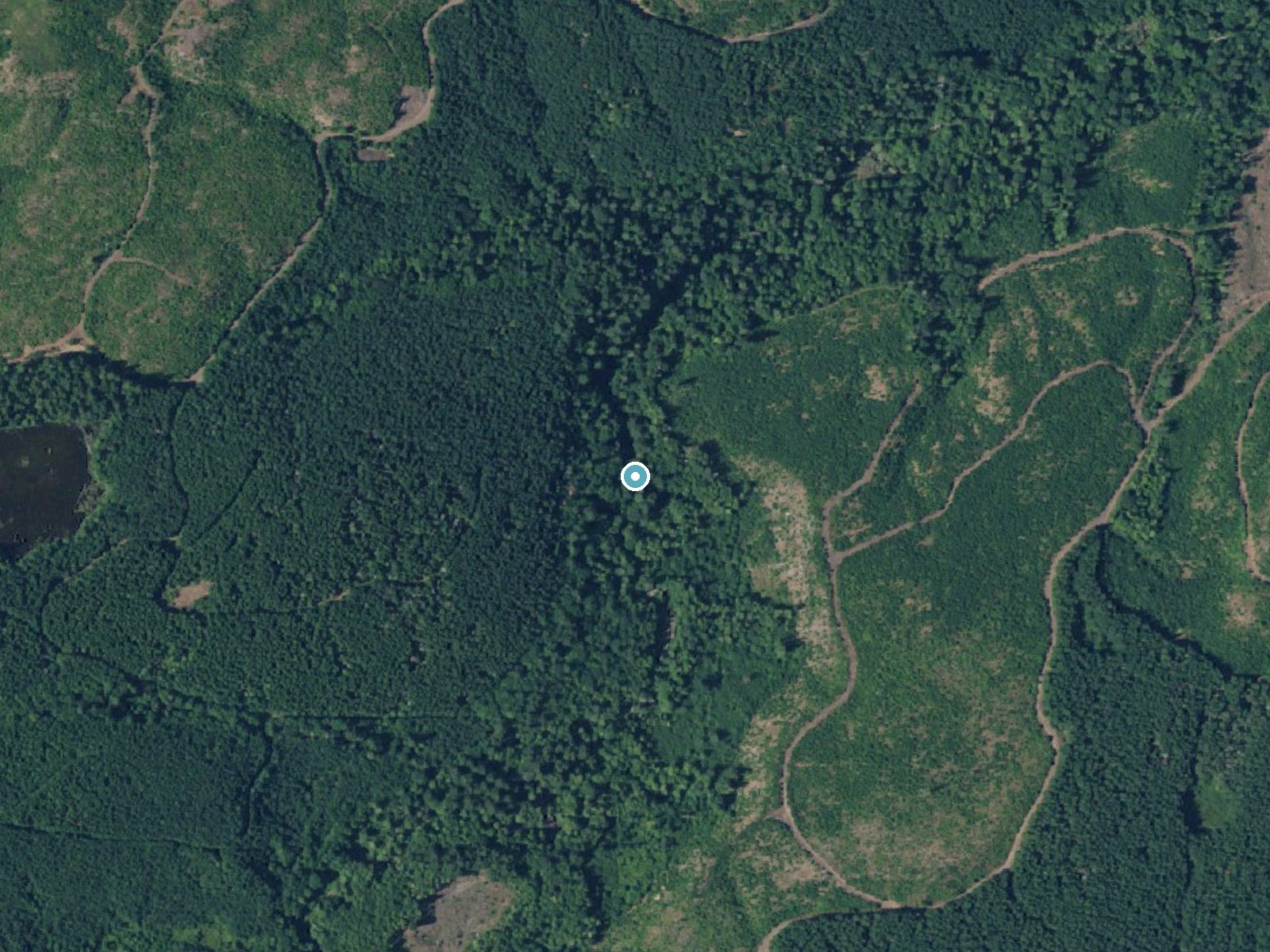Aerial photo of the same ground around Kennedy Falls near McCleary, Washington, for comparison with the lidar view