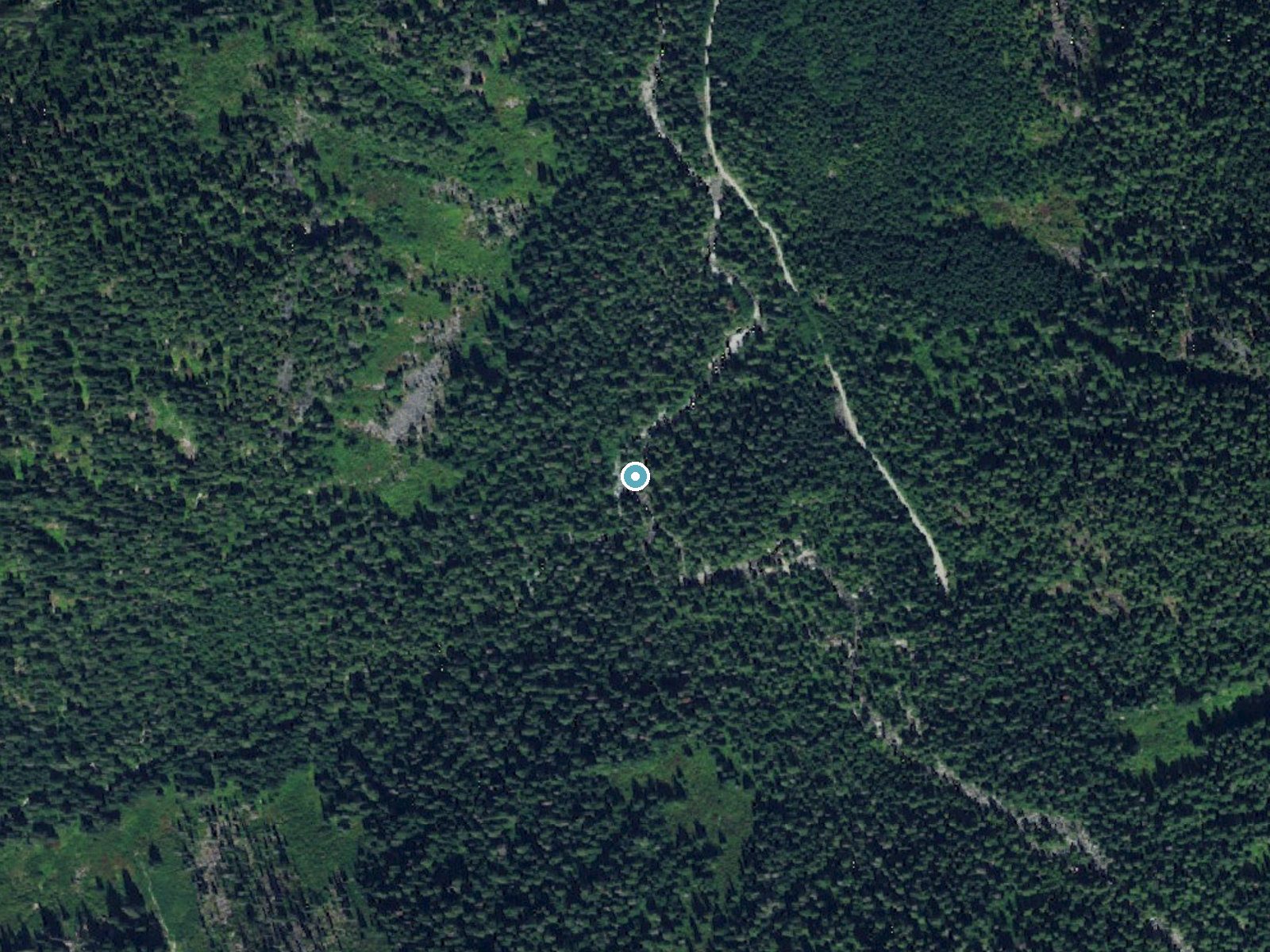 Aerial photo of the same ground around Florence Falls near Skykomish, Washington, for comparison with the lidar view
