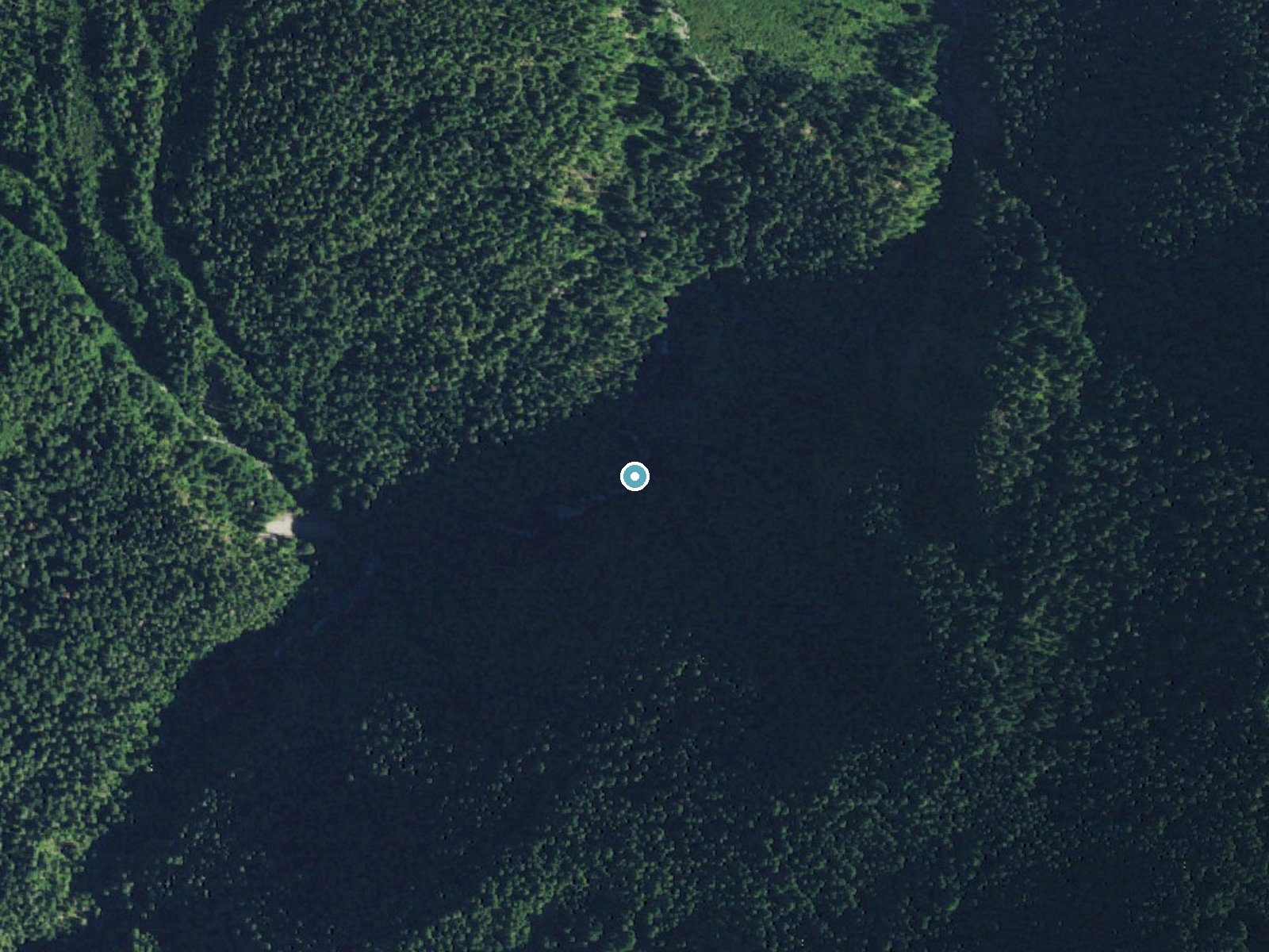 Aerial view of the ground around Service Falls near Amanda Park, Washington