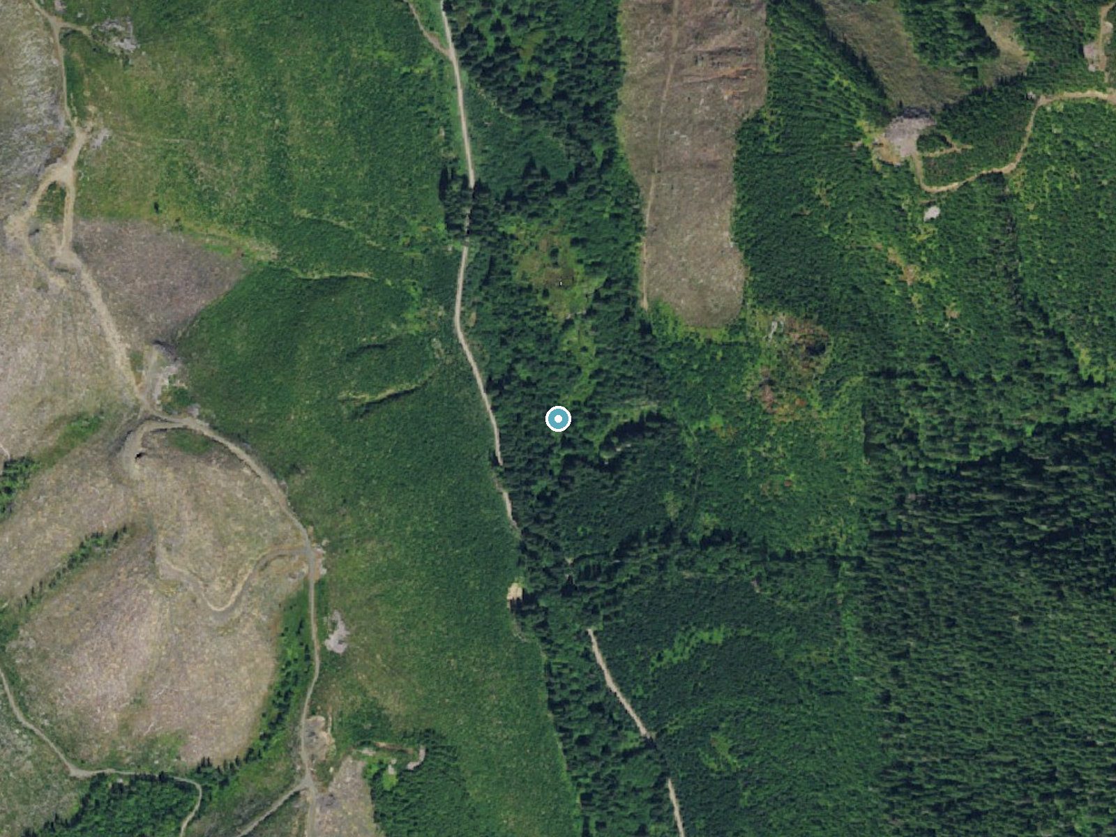 Aerial photo of the same ground around Bear Creek Falls near Sekiu, Washington, for comparison with the lidar view