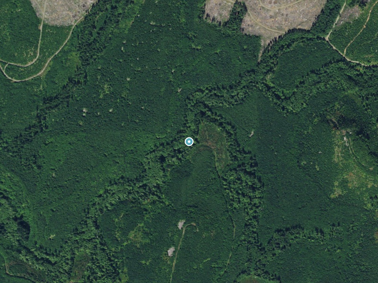 Aerial view of the ground around Herman Falls near Sekiu, Washington