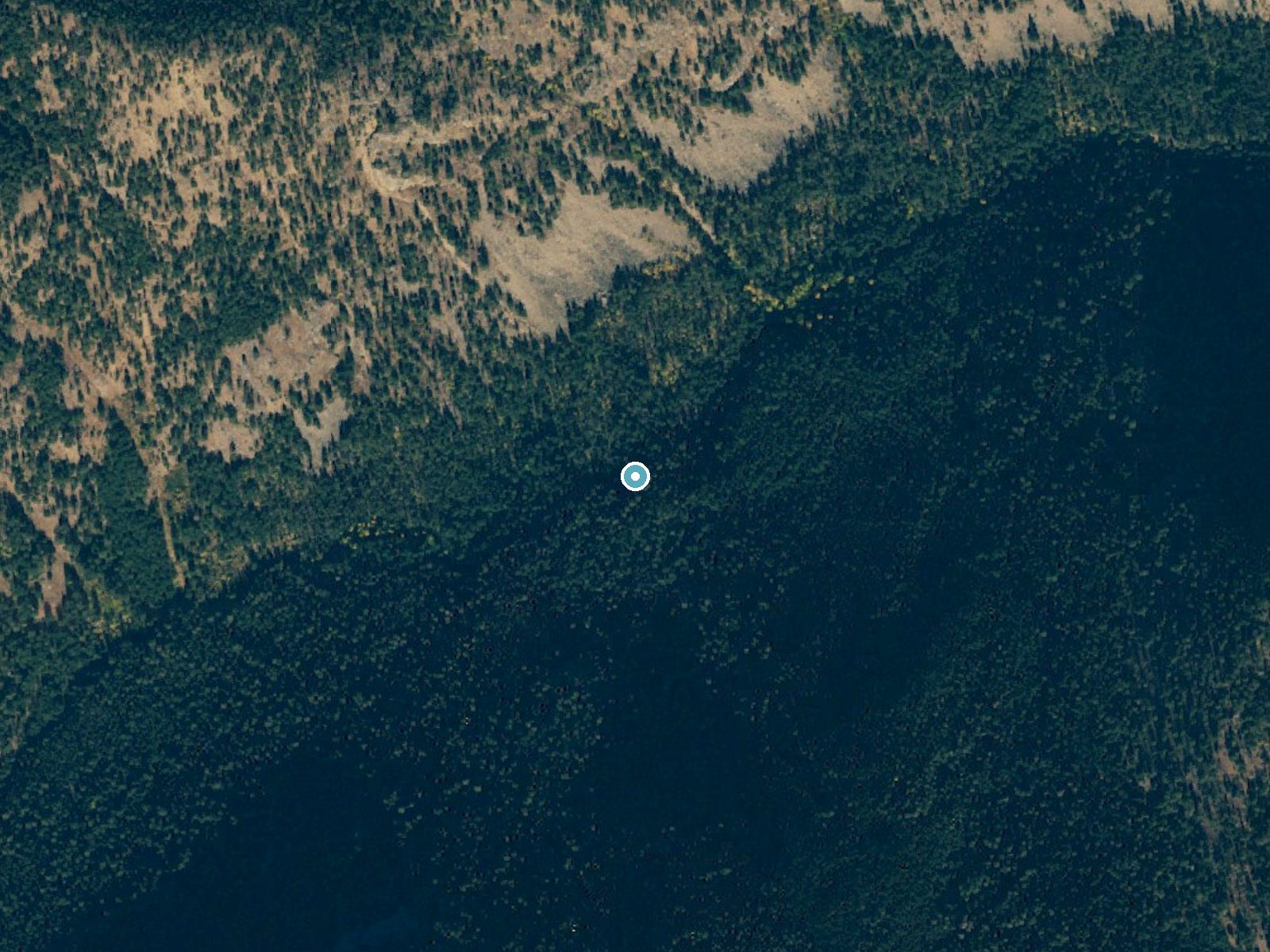 Aerial photo of the same ground around Foggy Dew Falls near Methow, Washington, for comparison with the lidar view
