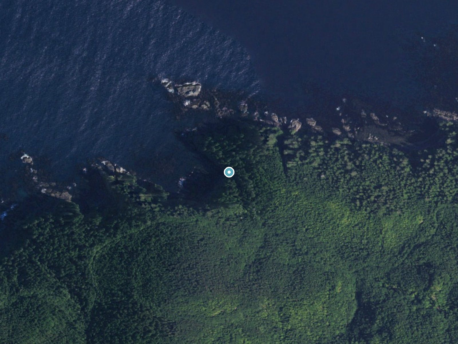 Aerial view of the ground around Titacoclos Falls near Neah Bay, Washington