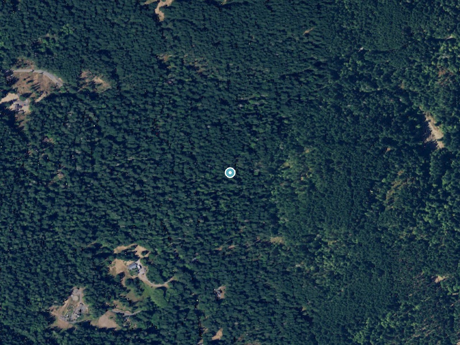 Aerial photo of the same ground around Cascade Falls near Roche Harbor, Washington, for comparison with the lidar view