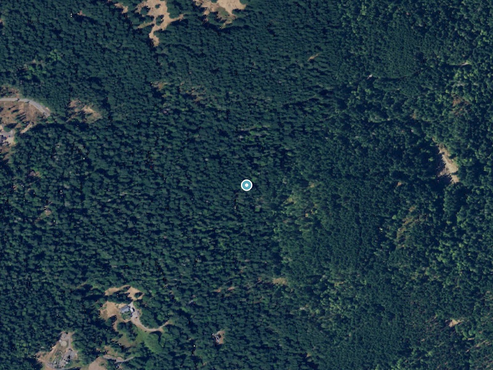 Aerial photo of the same ground around Rustic Falls near Roche Harbor, Washington, for comparison with the lidar view