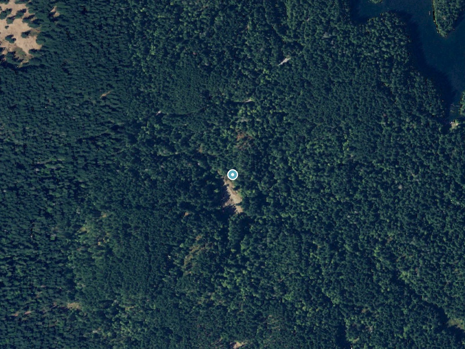 Aerial photo of the same ground around Hidden Falls near Roche Harbor, Washington, for comparison with the lidar view