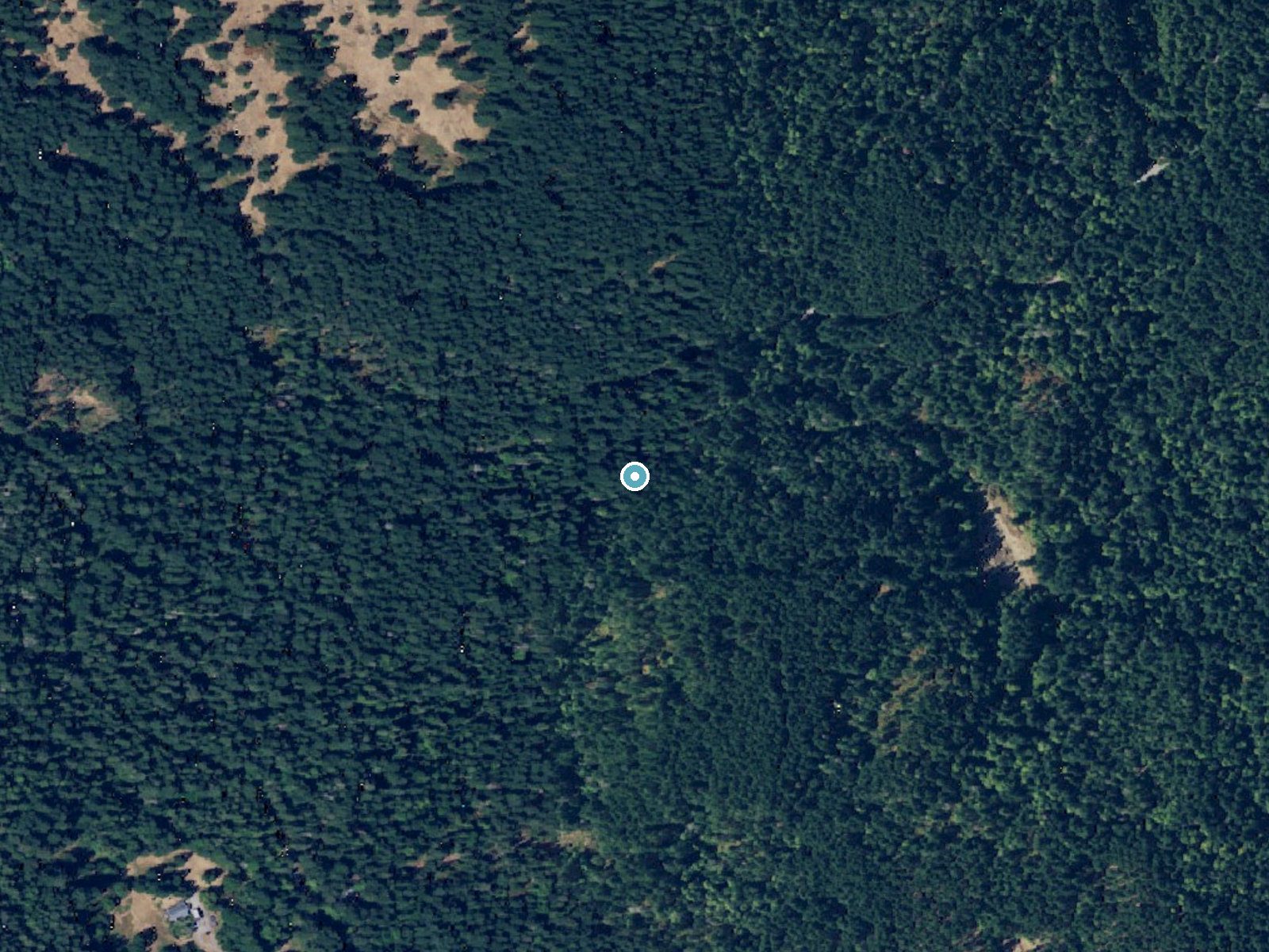 Aerial photo of the same ground around Cavern Falls near Roche Harbor, Washington, for comparison with the lidar view