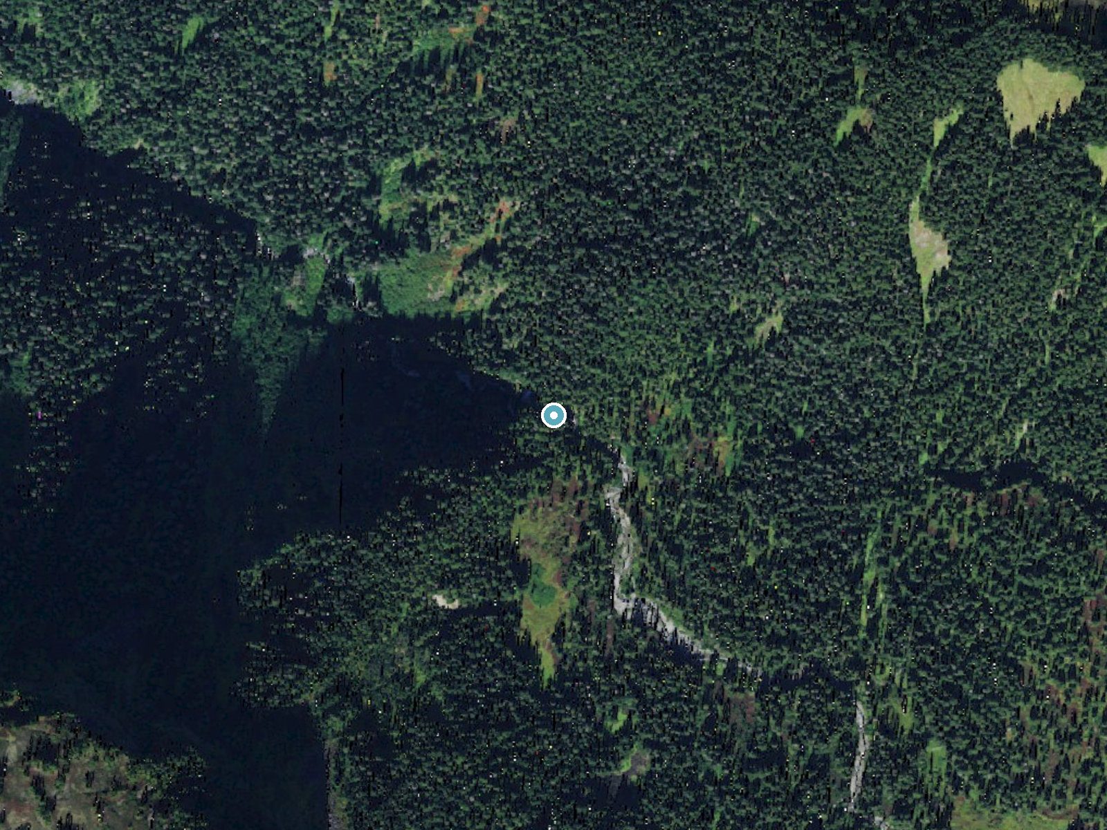Aerial photo of the same ground around Mazama Falls near Glacier, Washington, for comparison with the lidar view