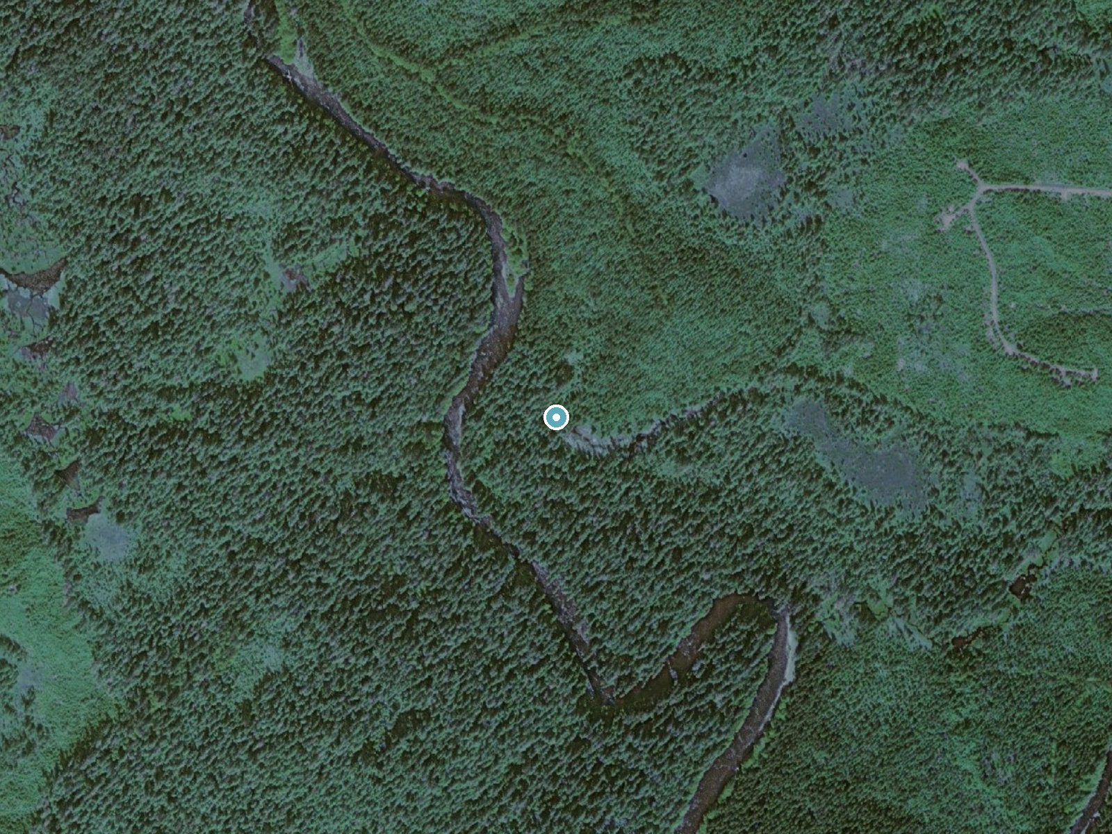 Aerial view of the ground around Silver Salmon Falls near Naukati Bay, Alaska