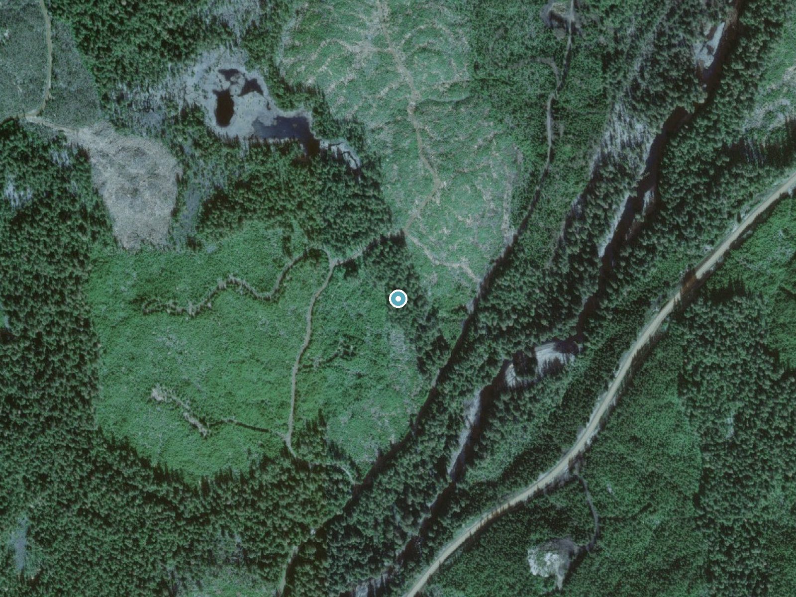 Aerial view of the ground around Sockeye Falls near Naukati Bay, Alaska