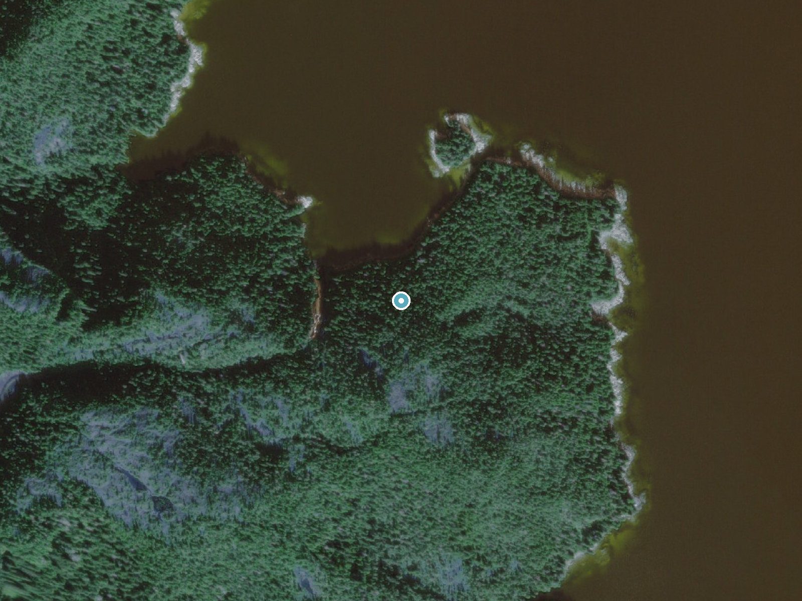 Aerial view of the ground around Kasnyku Falls near Sitka, Alaska