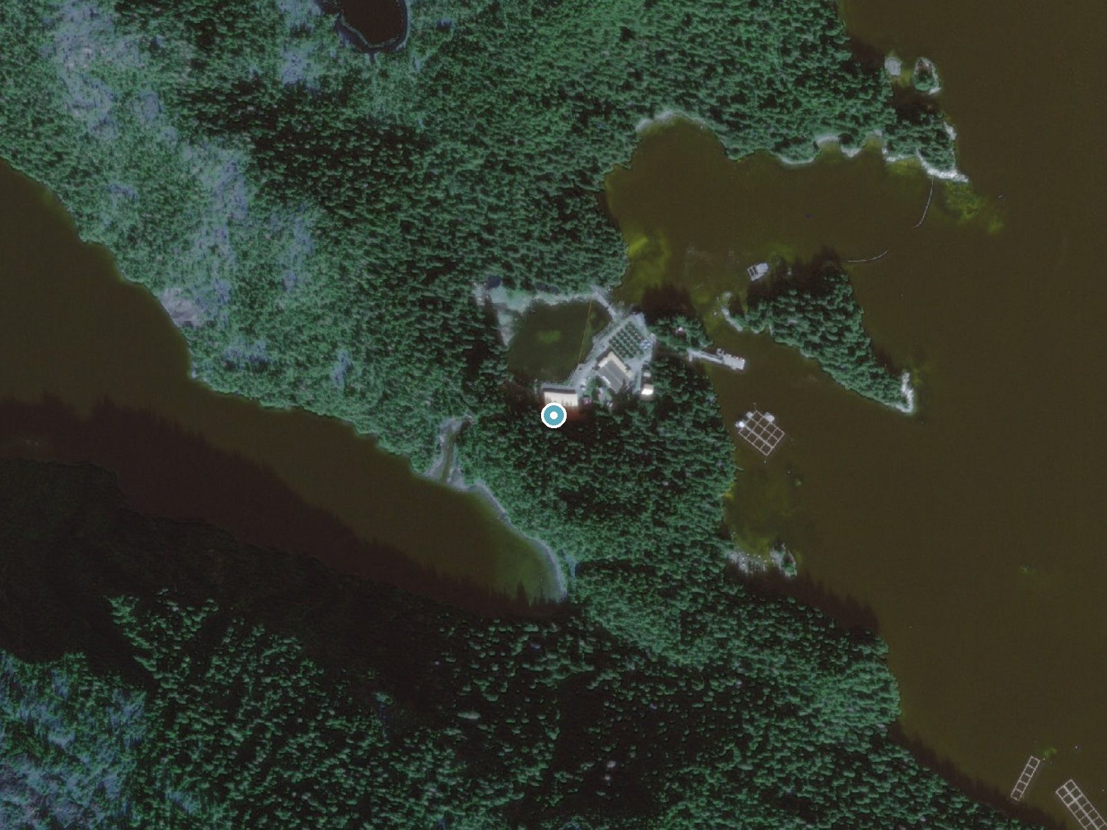 Aerial view of the ground around Hidden Falls near Sitka, Alaska