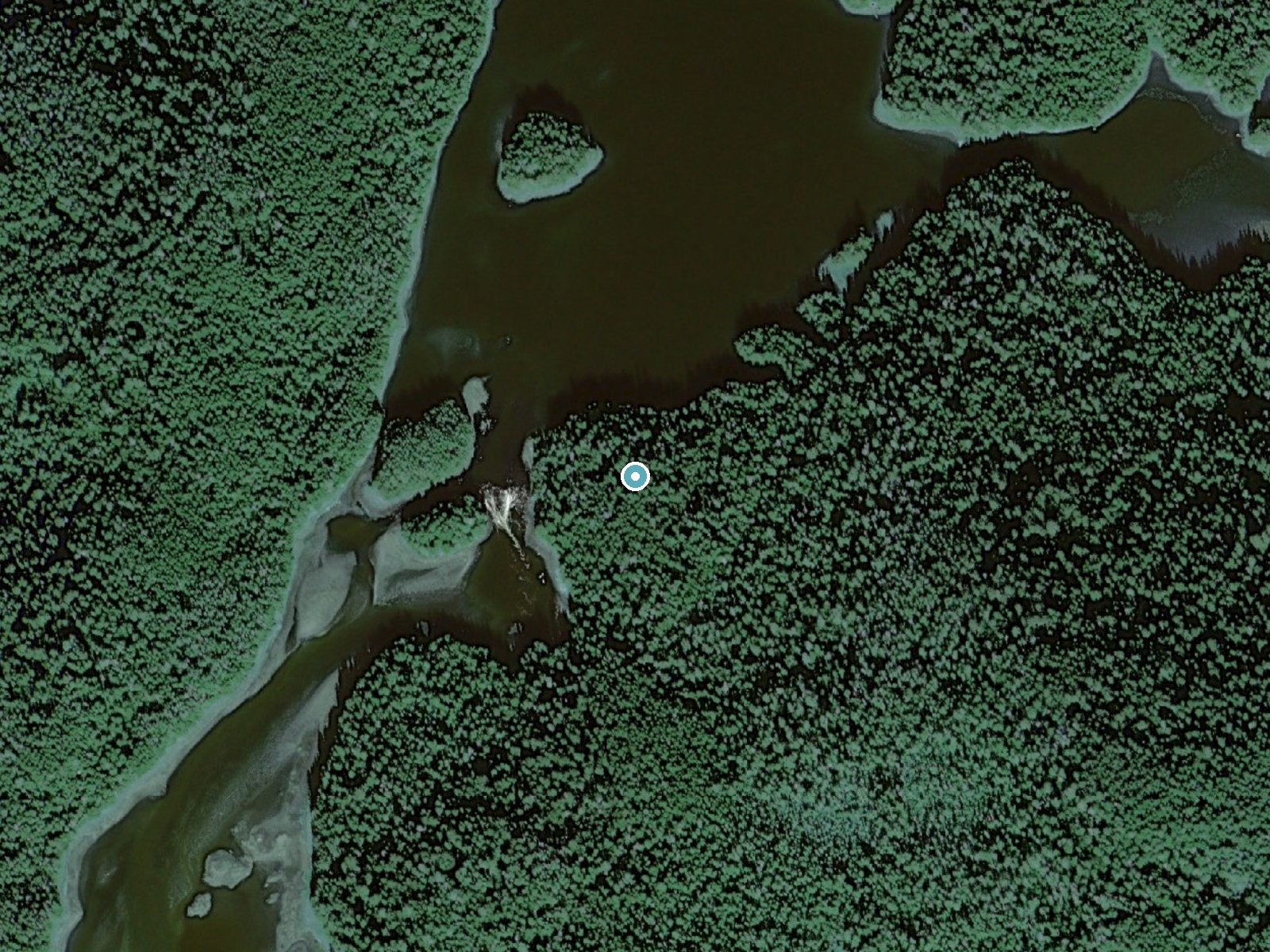 Aerial view of the ground around The Falls near Angoon, Alaska