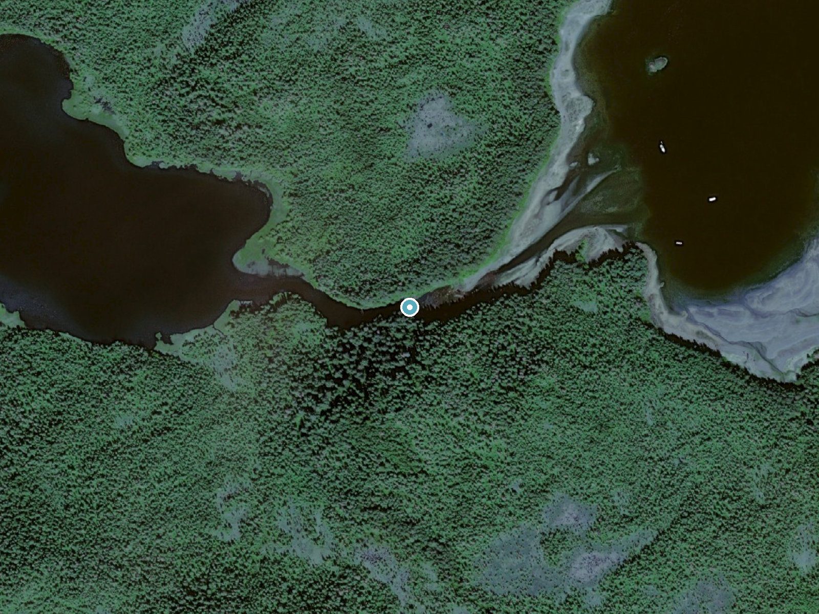 Aerial view of the ground around Tax'áas near Tenakee Springs, Alaska
