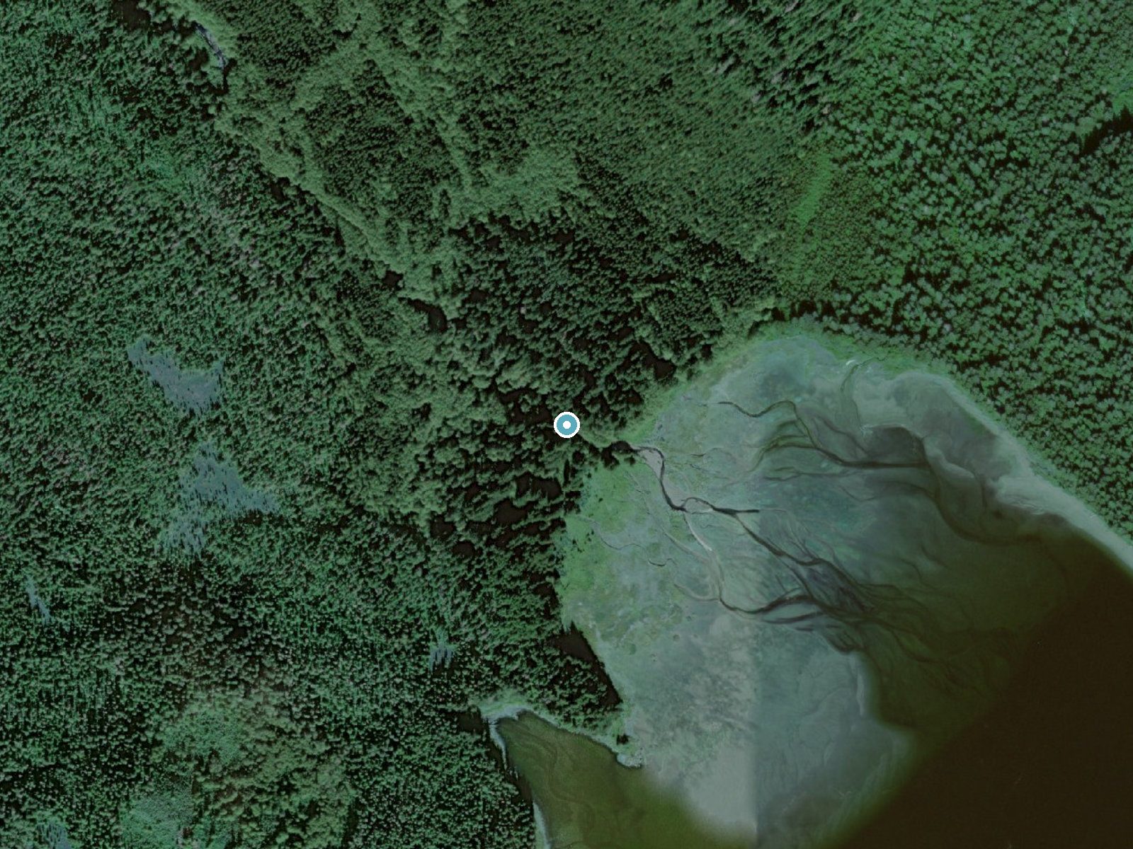 Aerial view of the ground around Lax'áask'i near Tenakee Springs, Alaska