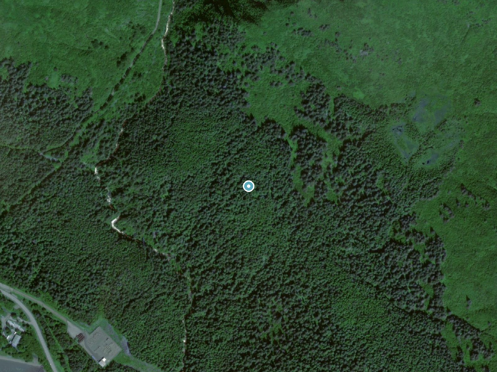 Aerial photo of the same ground around Lost Rocker Falls near Juneau, Alaska, for comparison with the lidar view