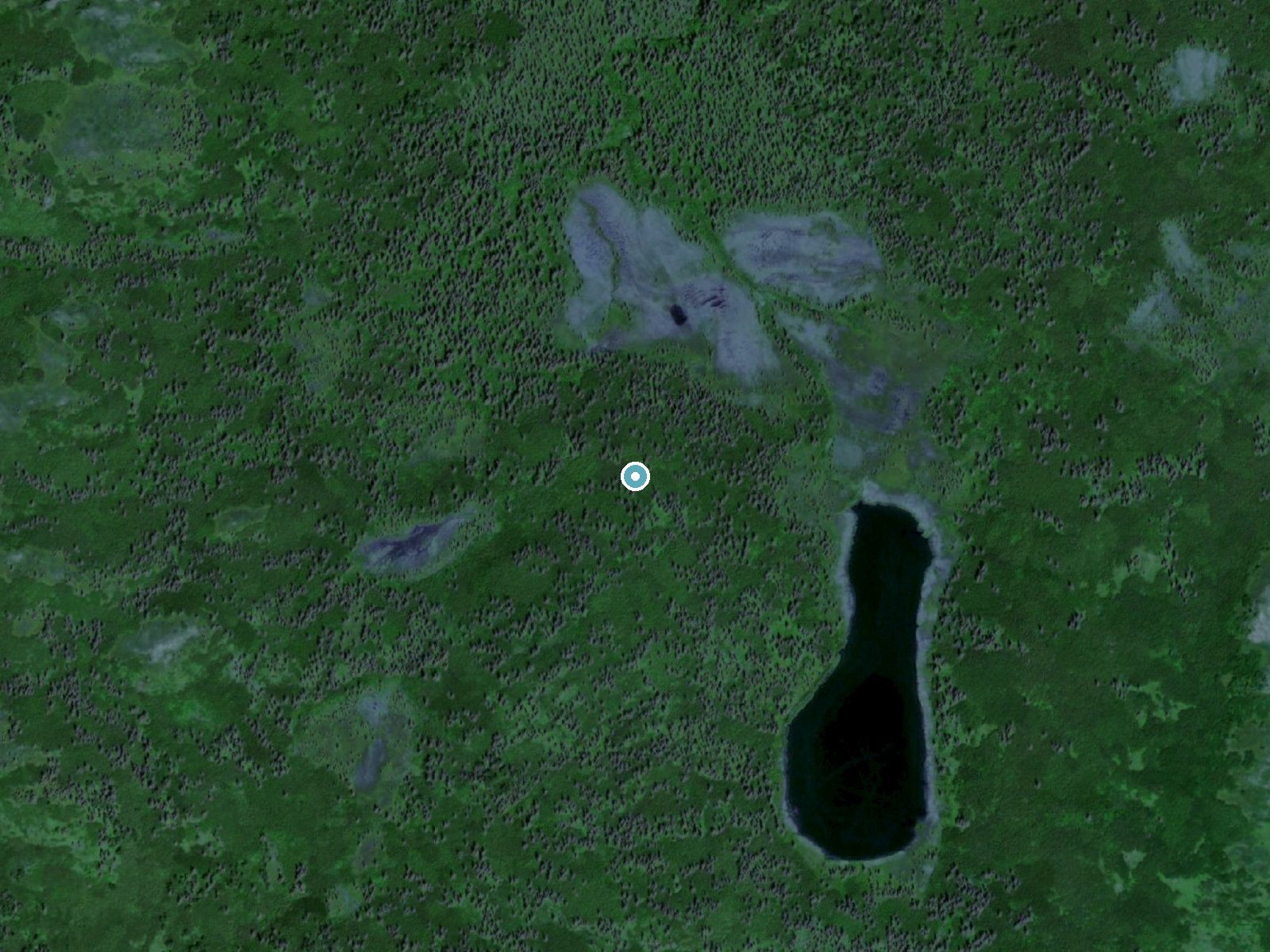 Aerial view of the ground around Kolevokharit Koygut Falls near Aleknagik, Alaska