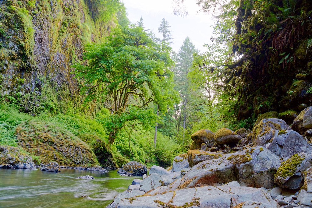 Abiqua Falls waterfall