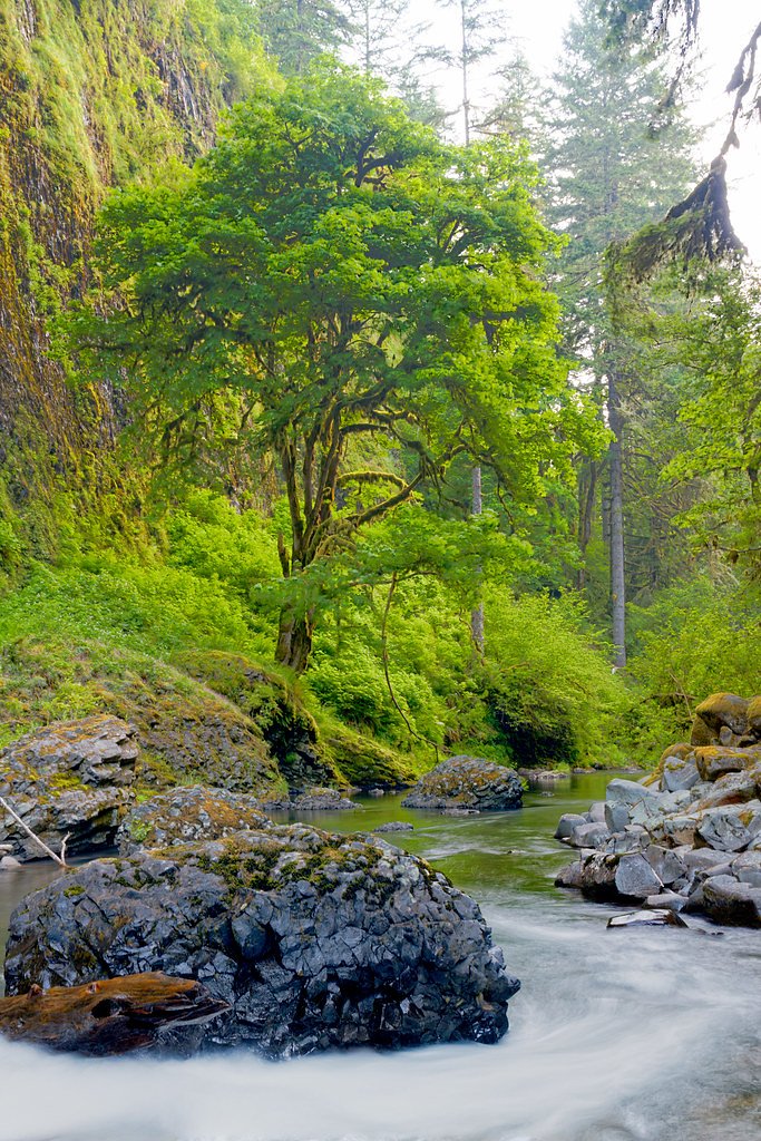 Abiqua Falls waterfall
