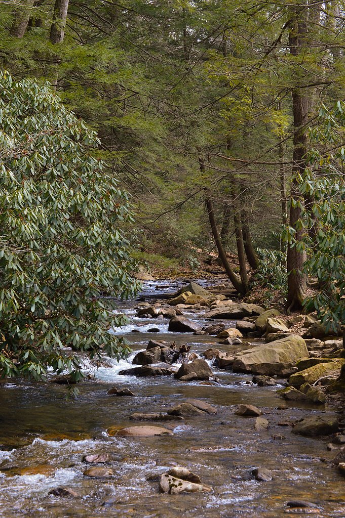 Adams Falls waterfall